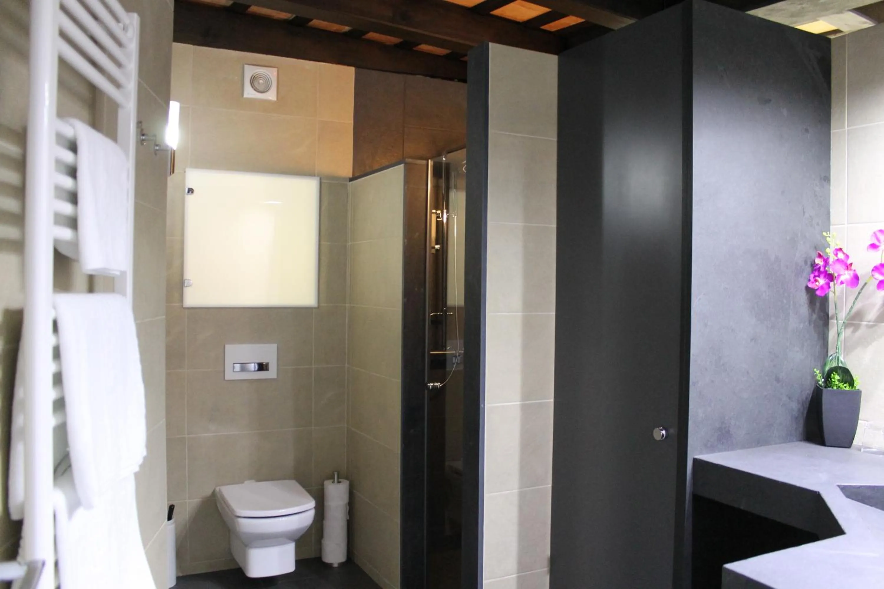 Decorative detail in Apartaments y Habitacions Entre Volcans