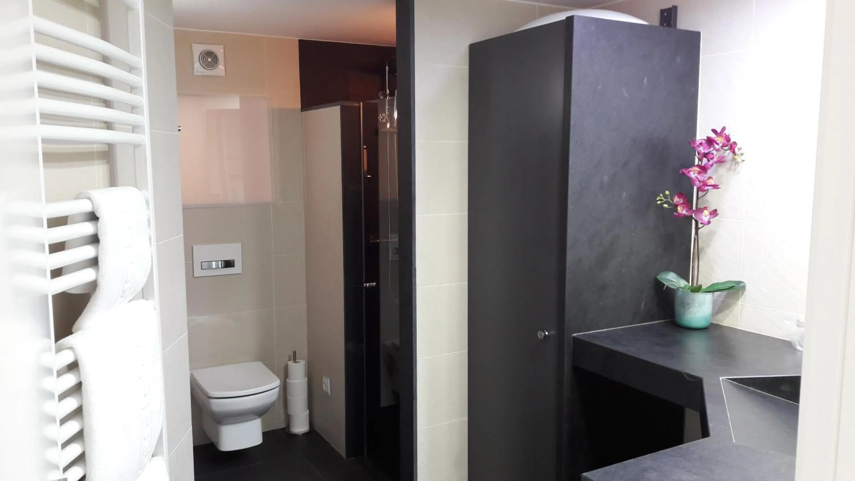 Decorative detail in Apartaments y Habitacions Entre Volcans