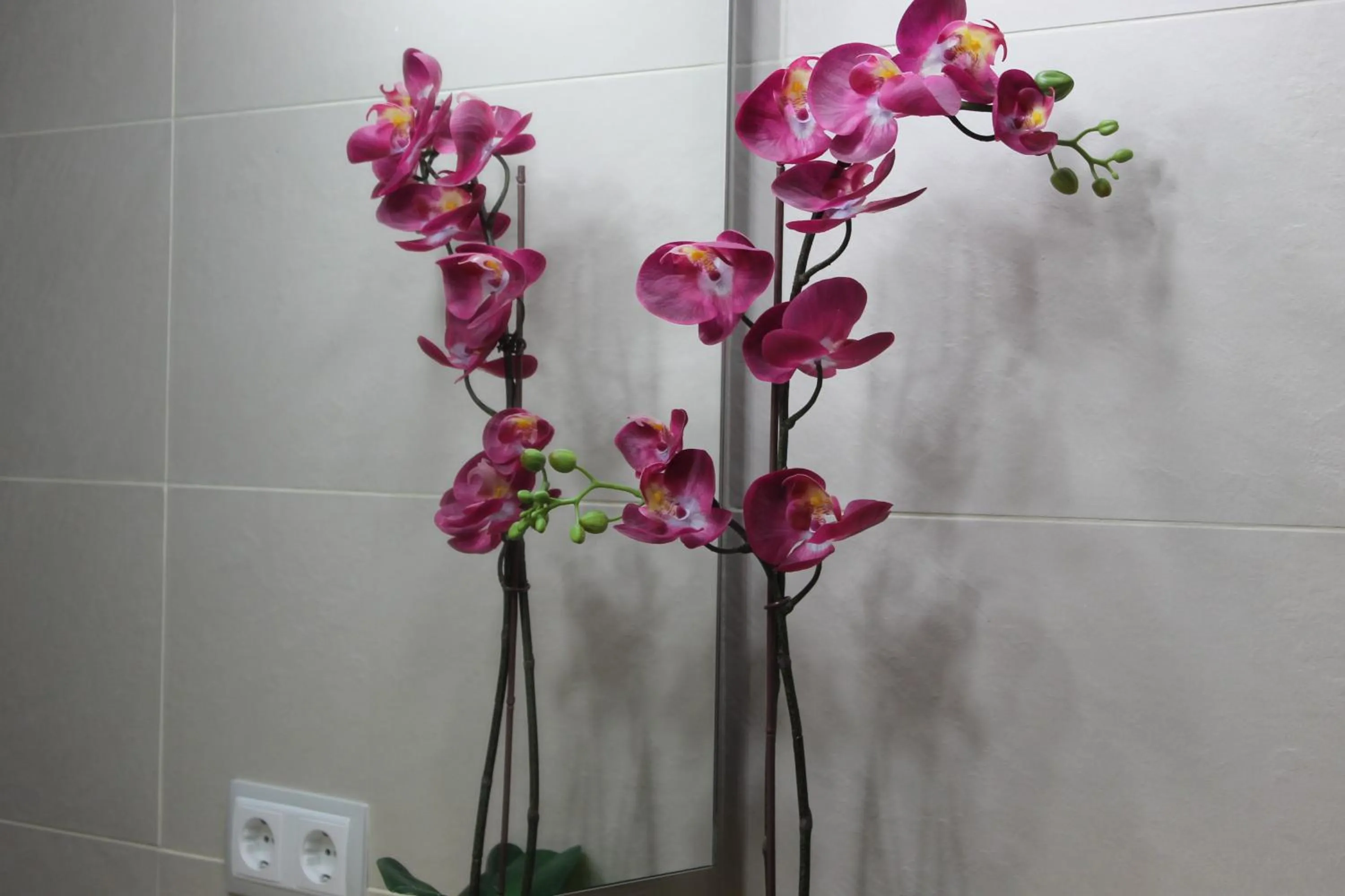 Other in Apartaments y Habitacions Entre Volcans