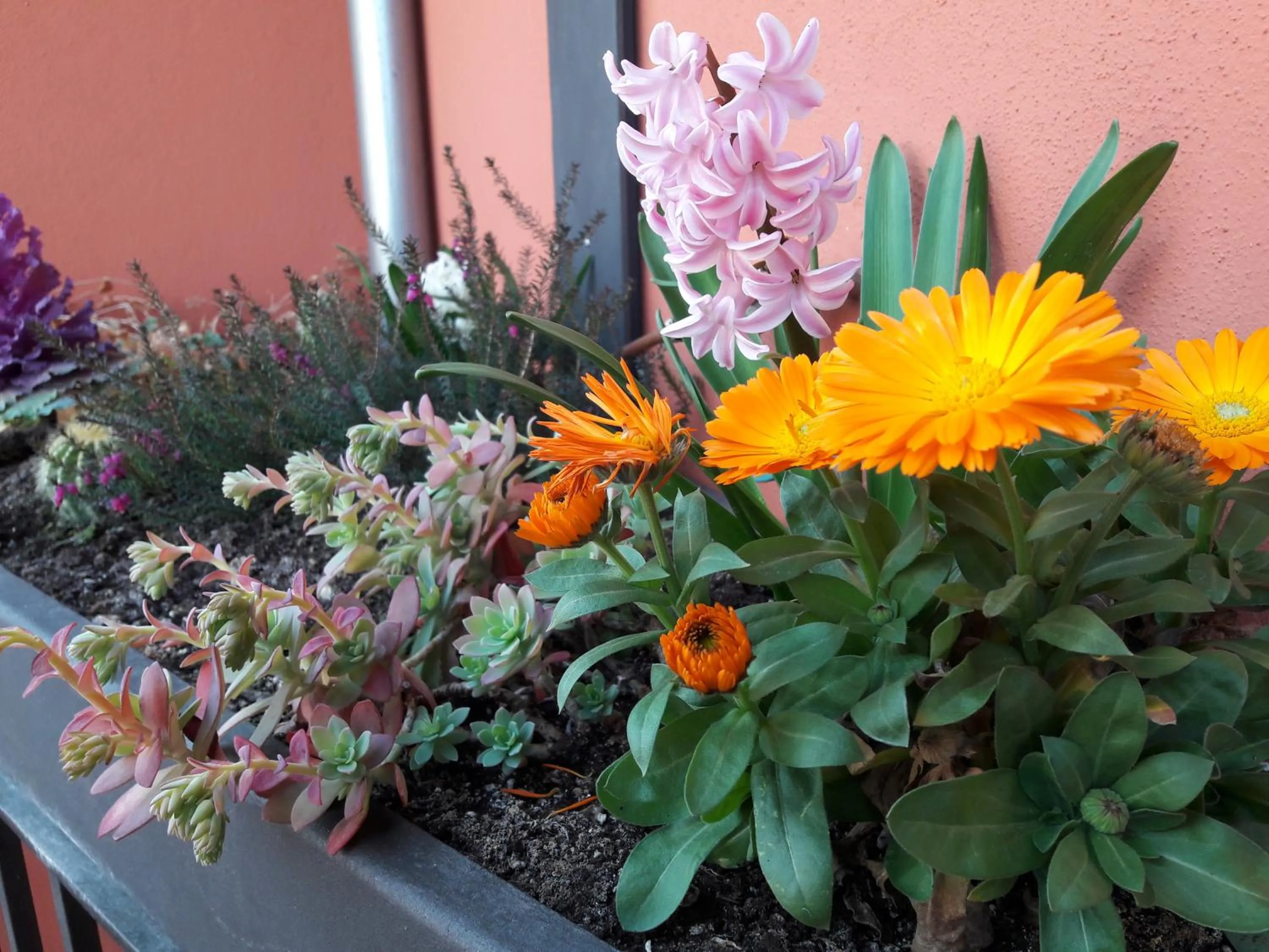 Other in Apartaments y Habitacions Entre Volcans