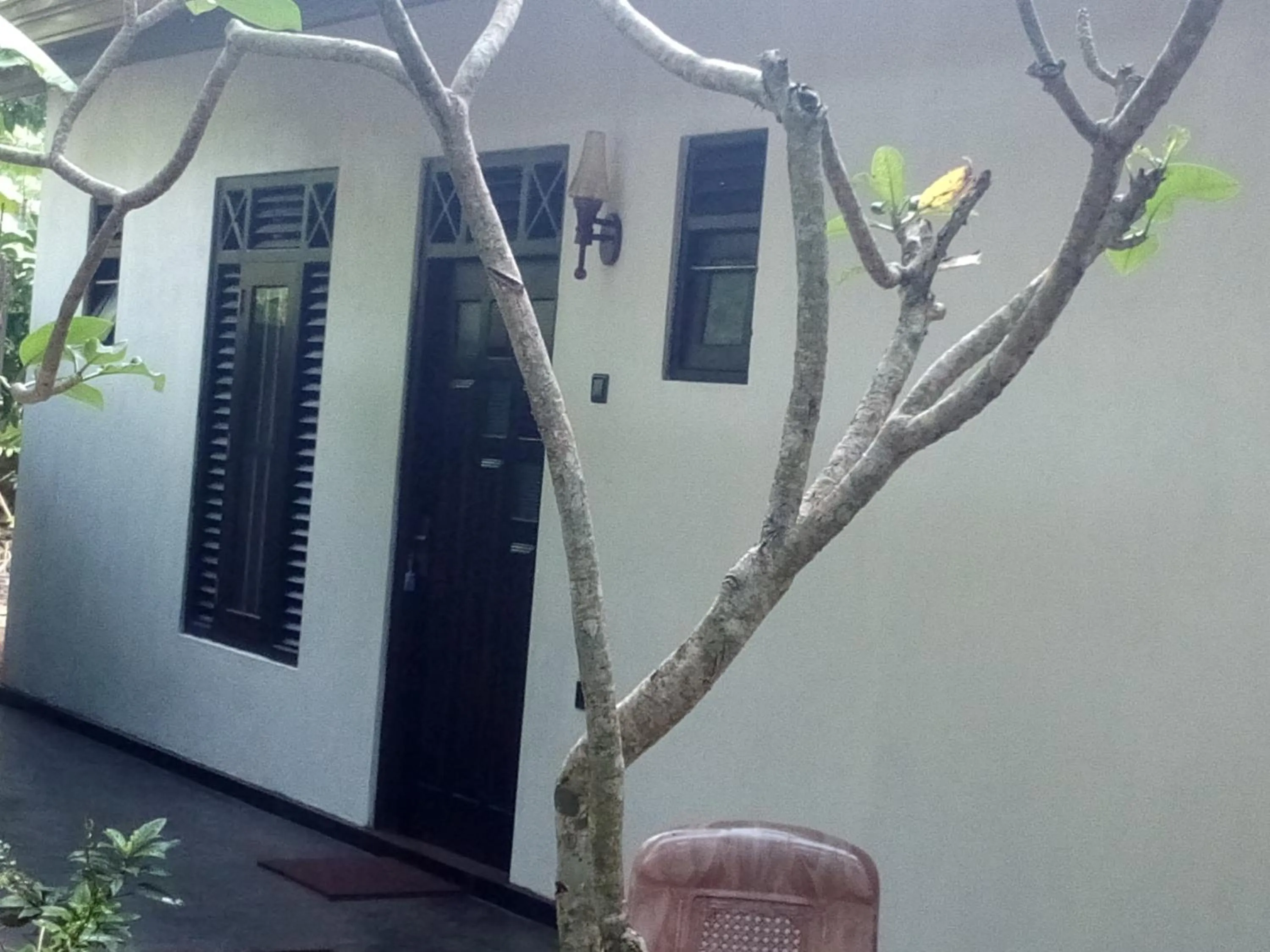 Garden in Midigama Holiday Inn