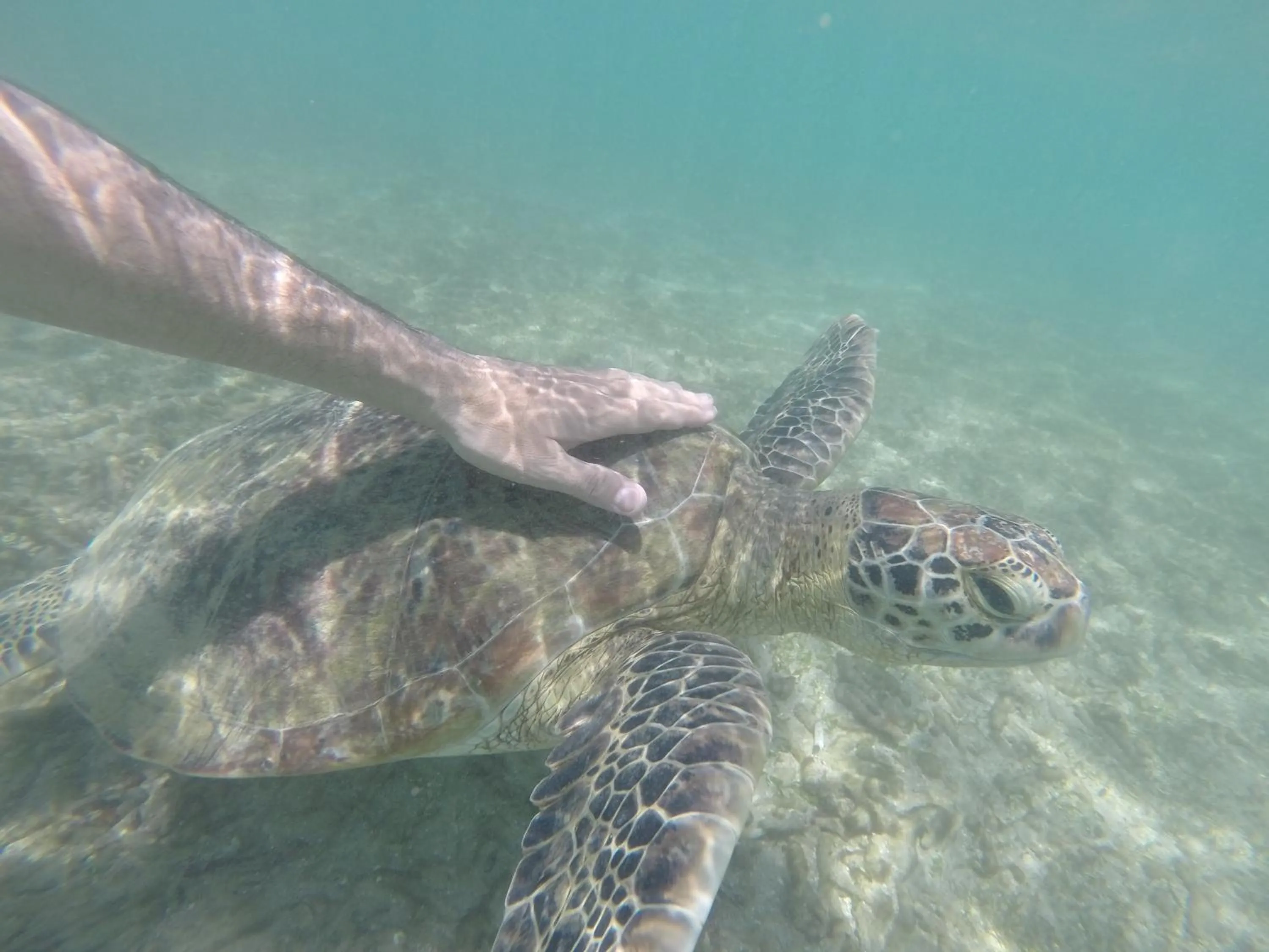 Other in Midigama Holiday Inn