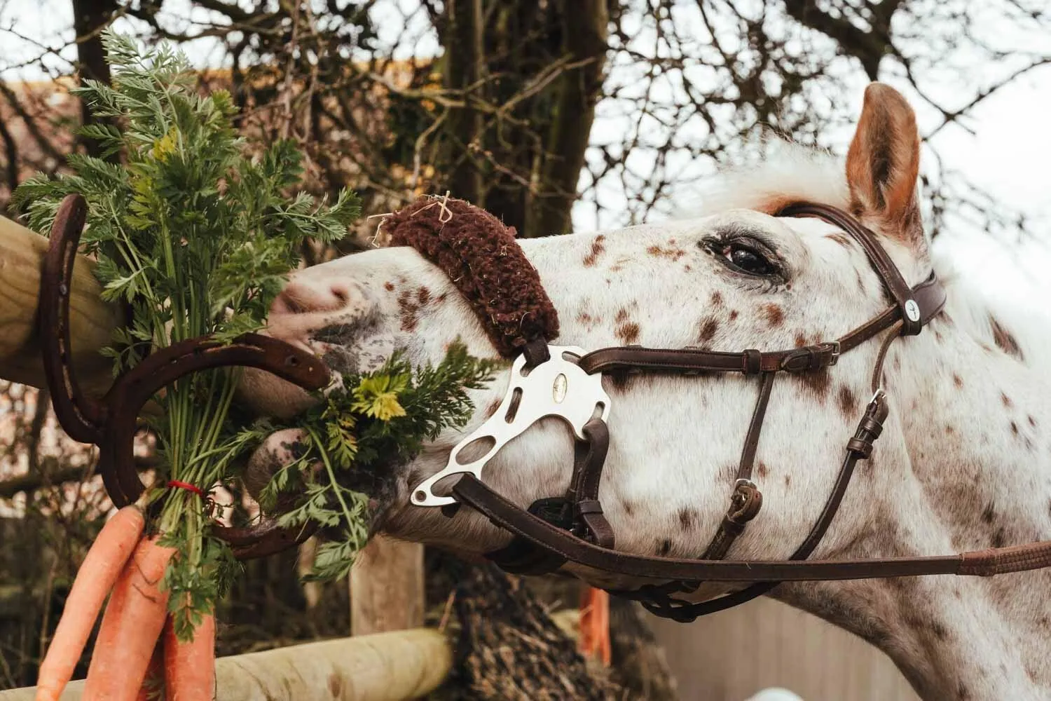 Other in The Five Bells Inn