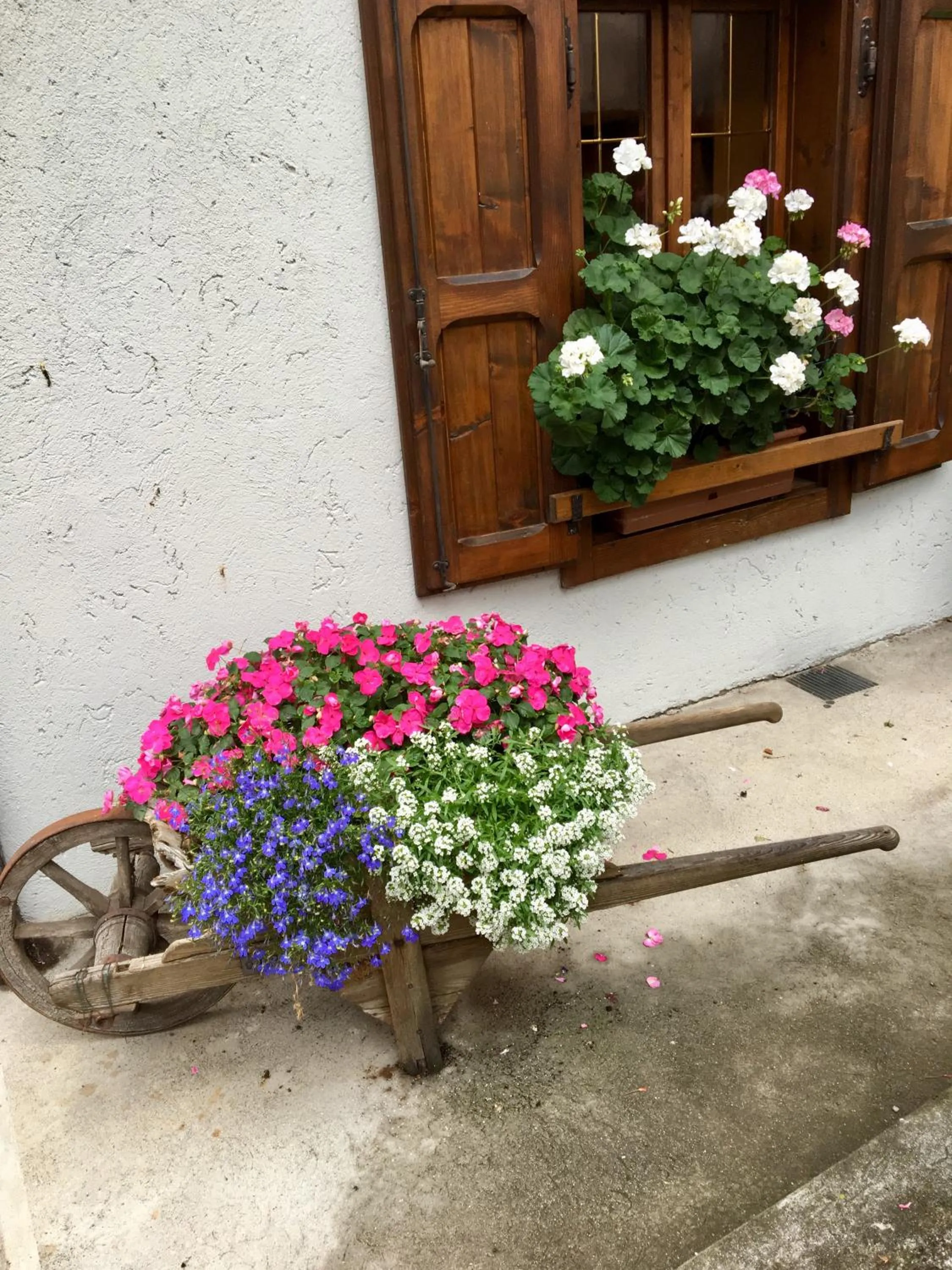 Albergo Meuble Tarandan