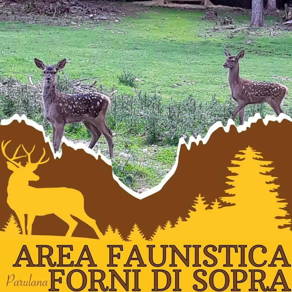 Albergo Meuble Tarandan