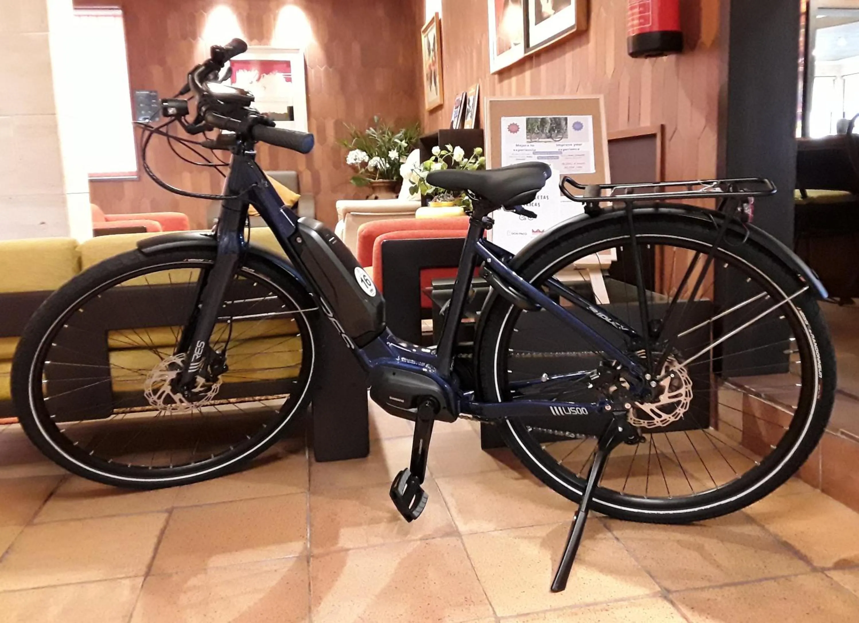 Activities in Montemar