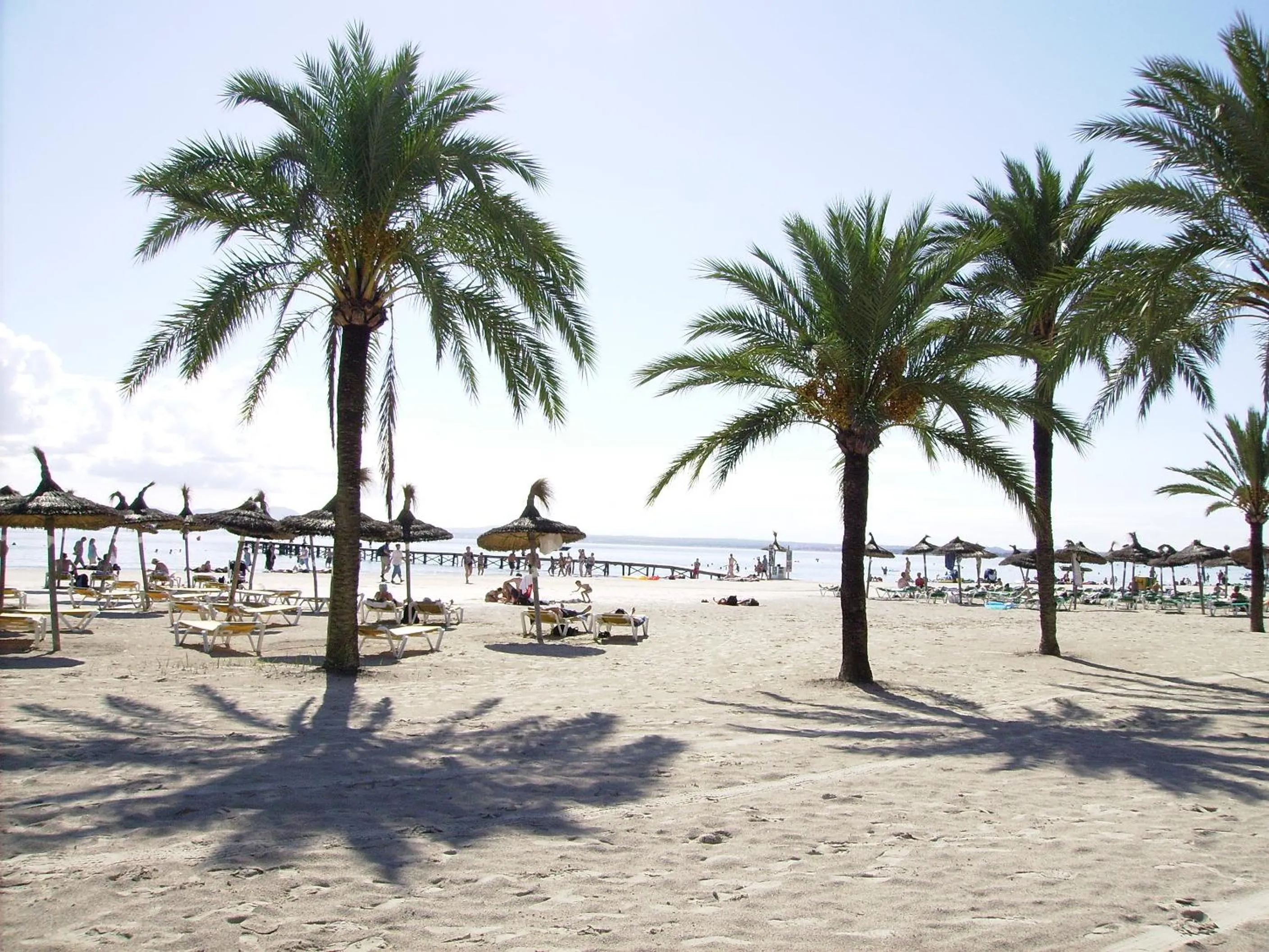 Beach in Apartaments Ses Dàlies