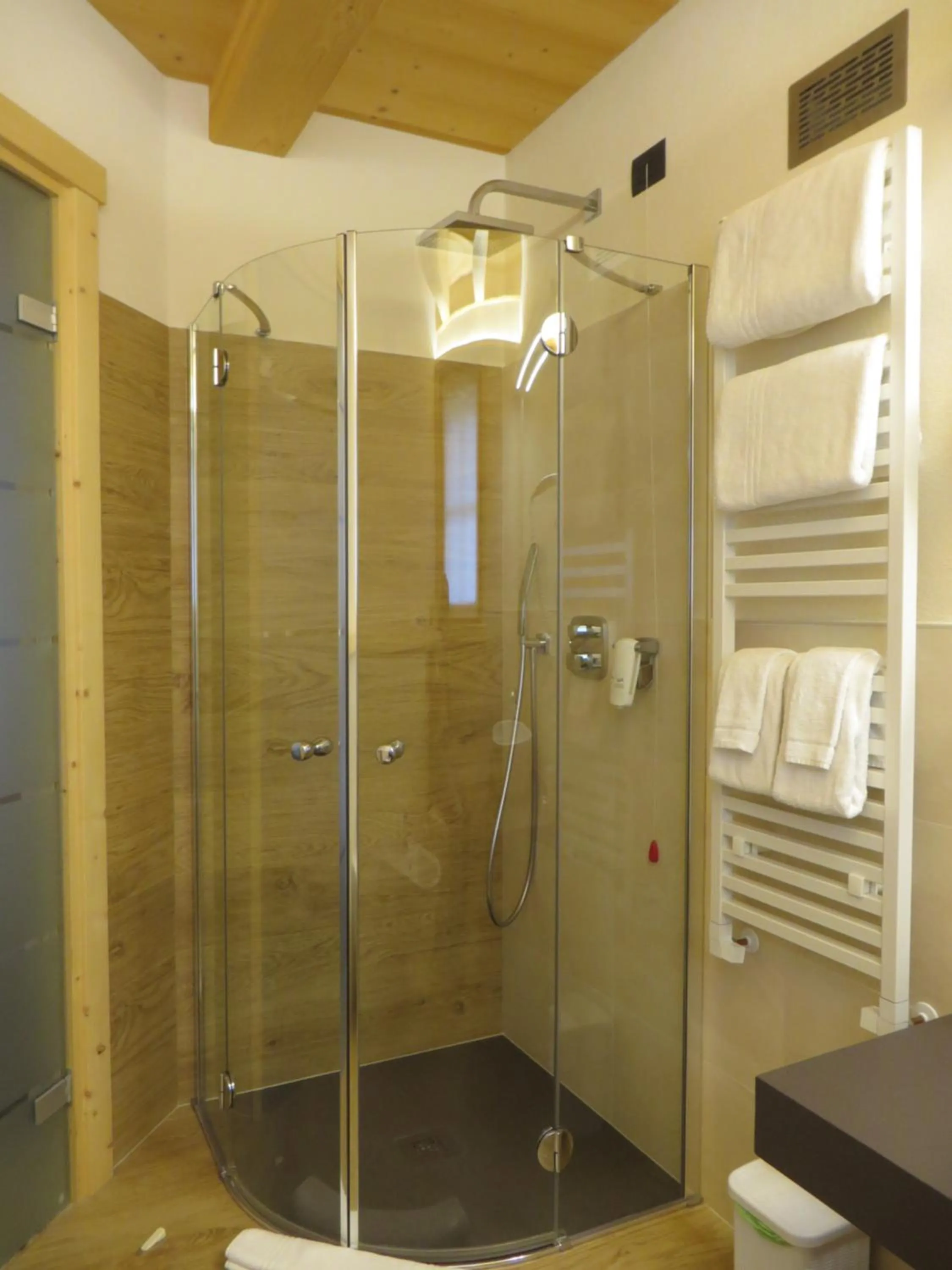 Shower in B&B Ecohotel Chalet des Alpes