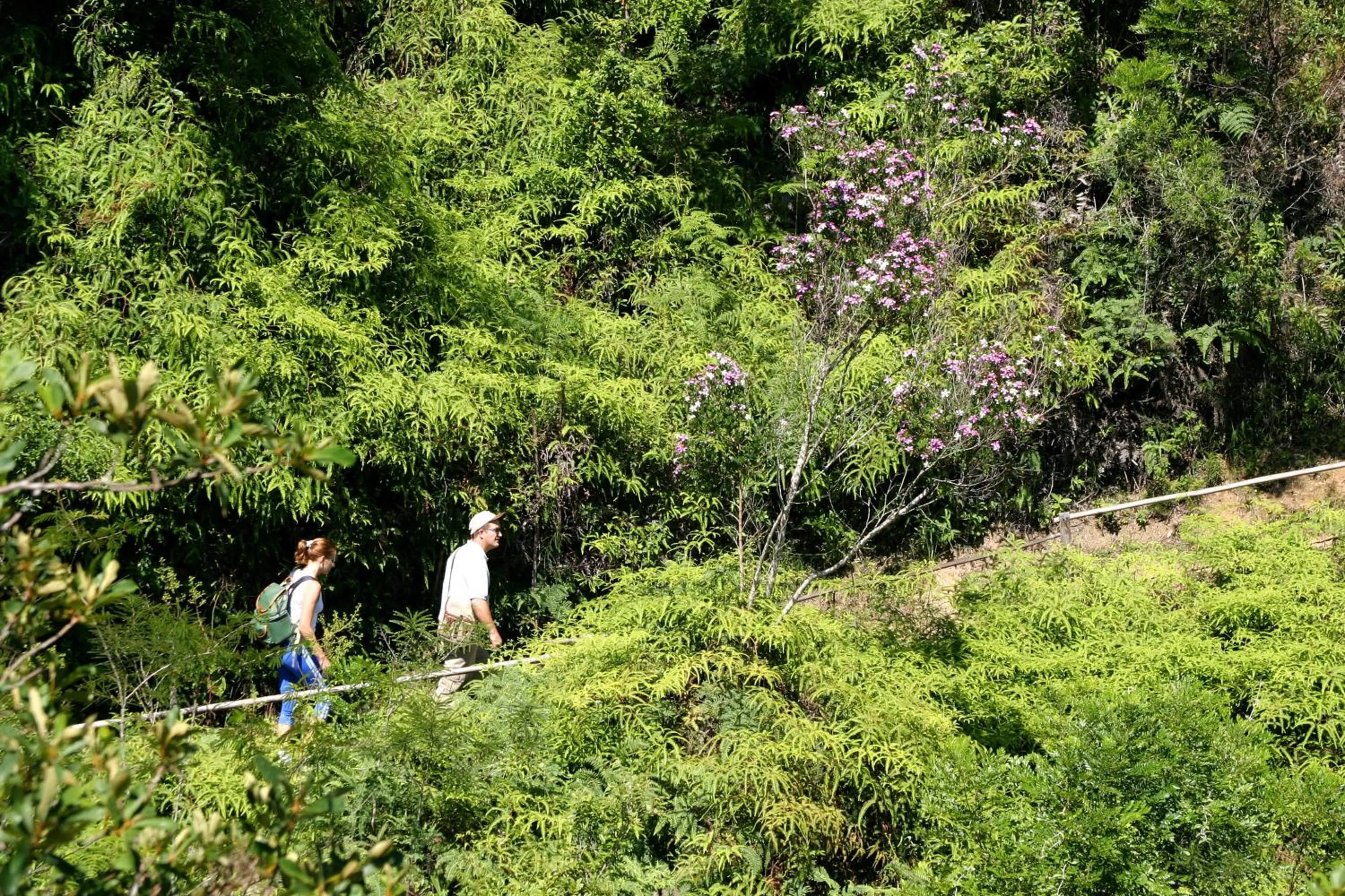 Hiking in Plaza Caldas da Imperatriz Resort & Spa