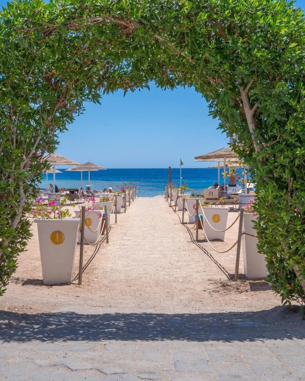 Domina Coral Bay Resort, Diving, Spa & Casino