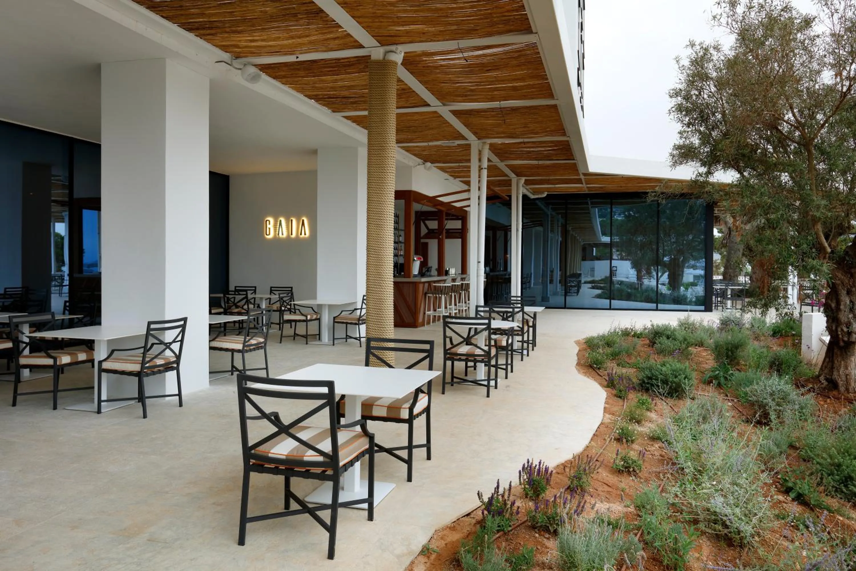 Restaurant/places to eat in TRS Ibiza Hotel - Adults Only