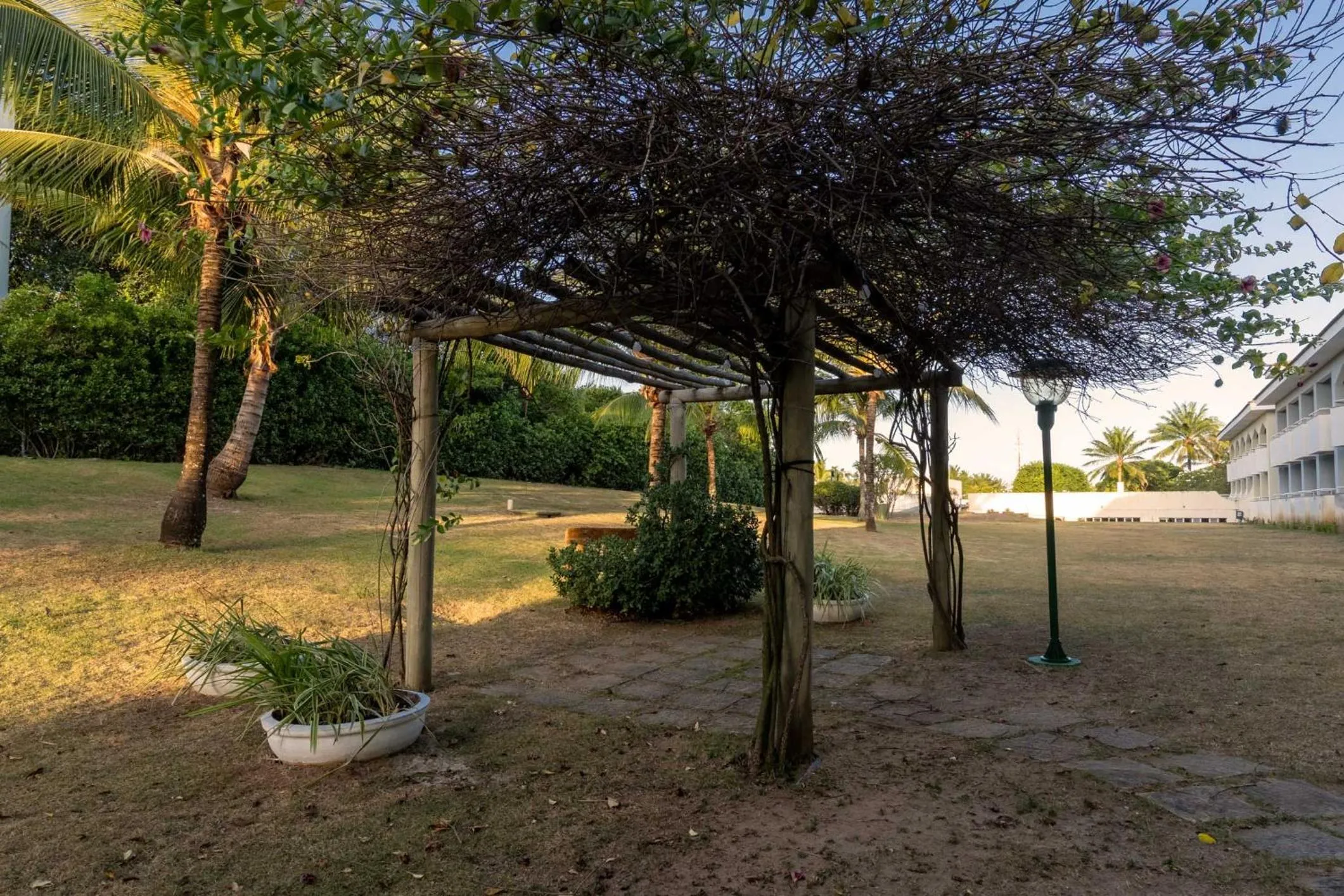 Garden in Bahia Plaza Hotel