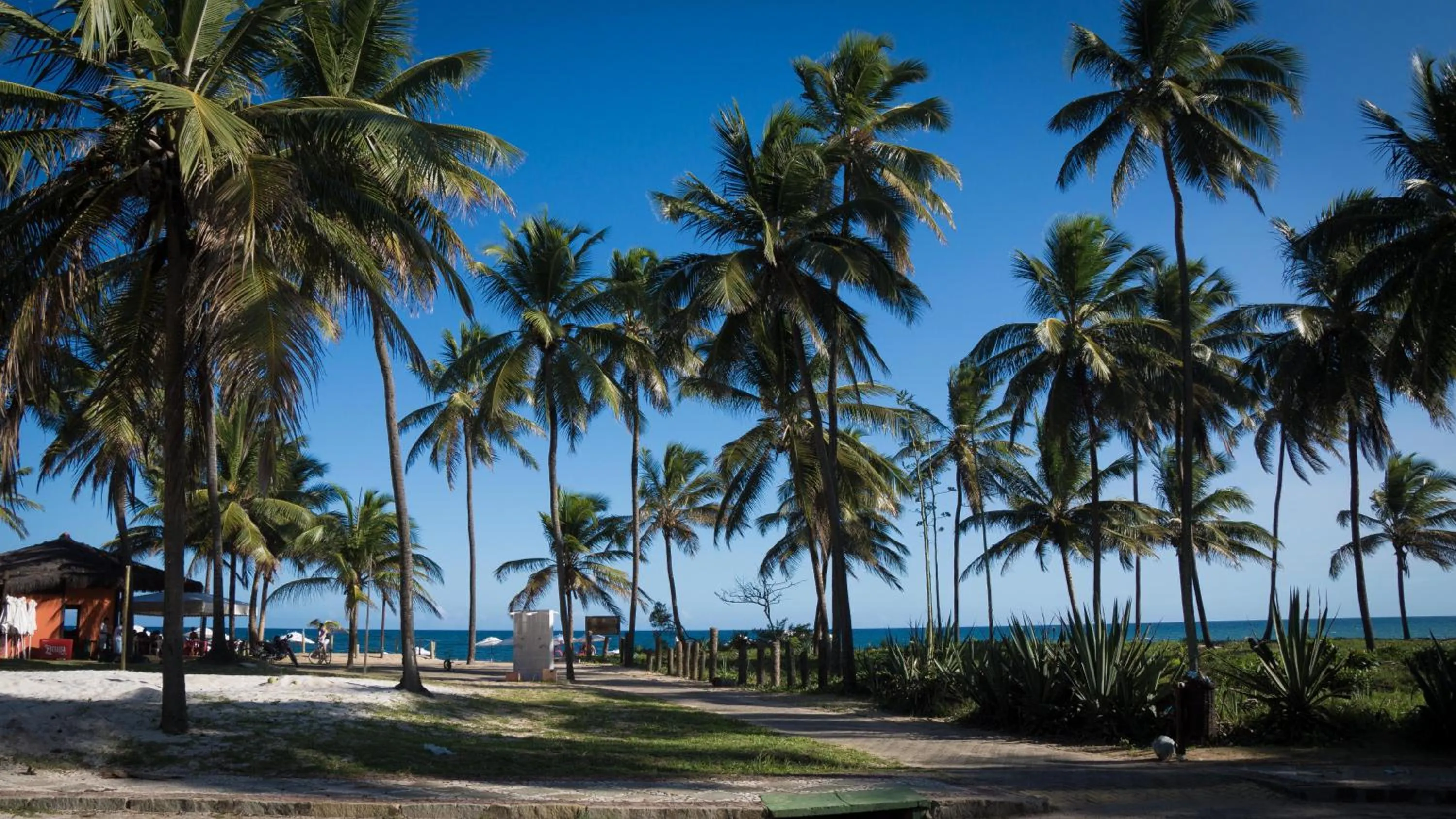 Beach in Bahia Plaza Hotel