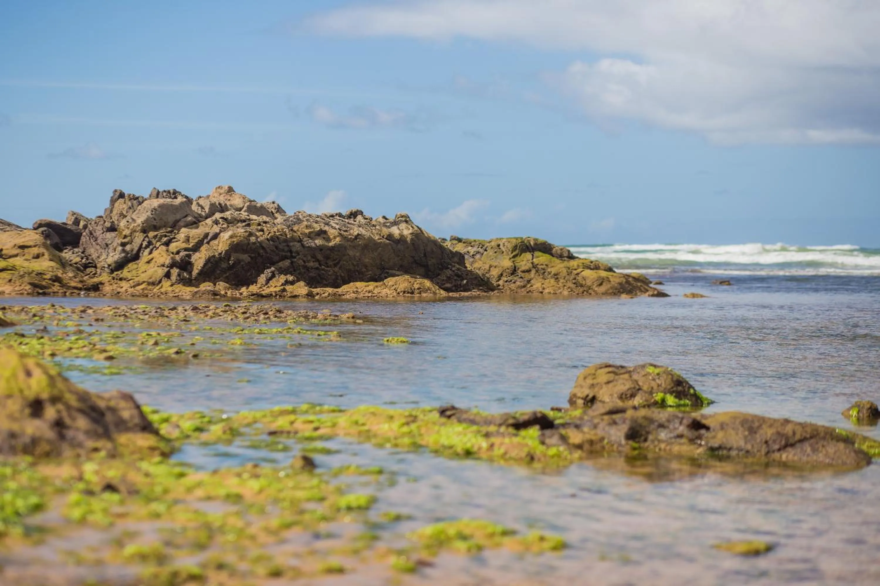 Nearby landmark in Bahia Plaza Hotel