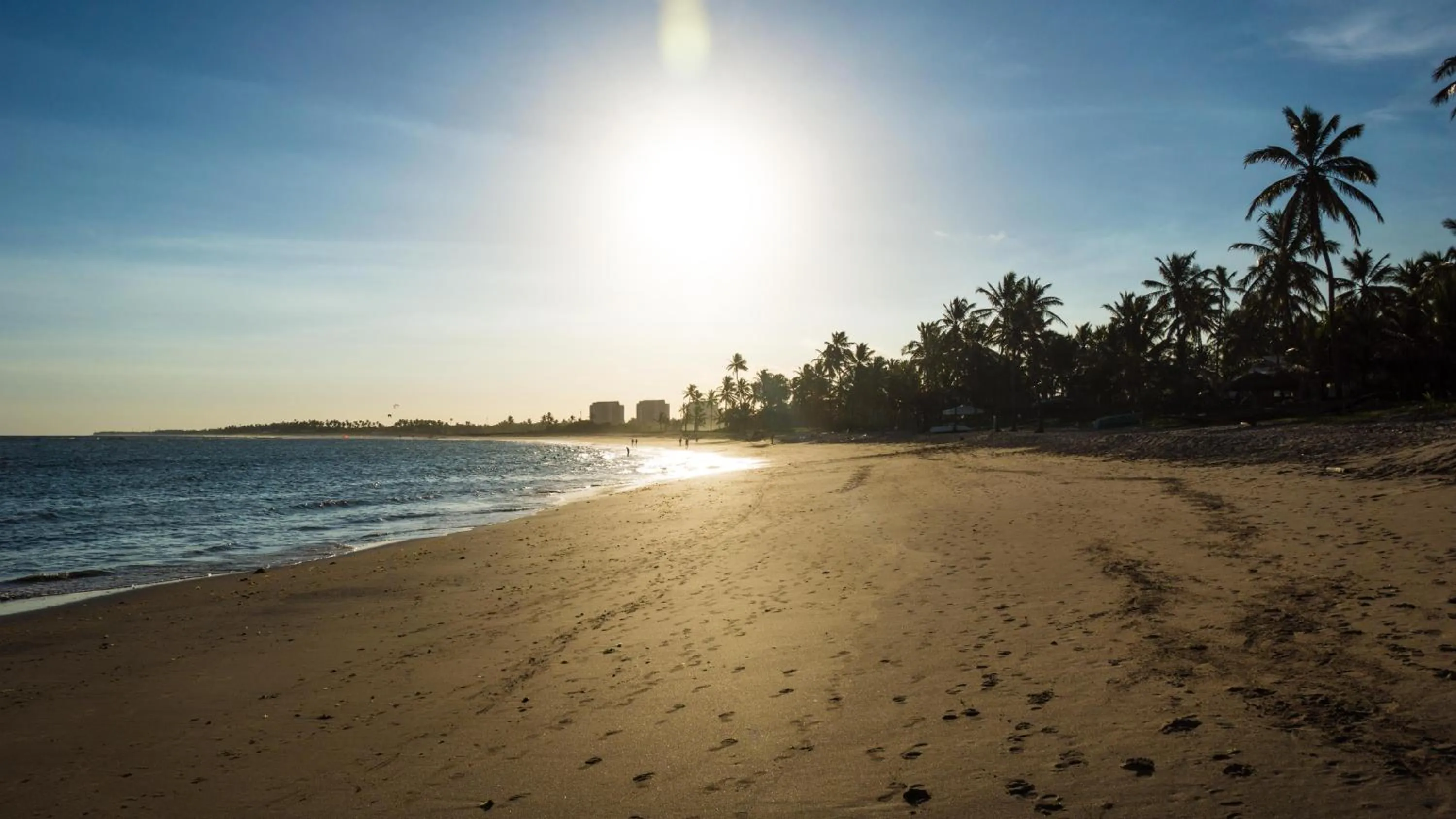 Natural landscape in Bahia Plaza Hotel