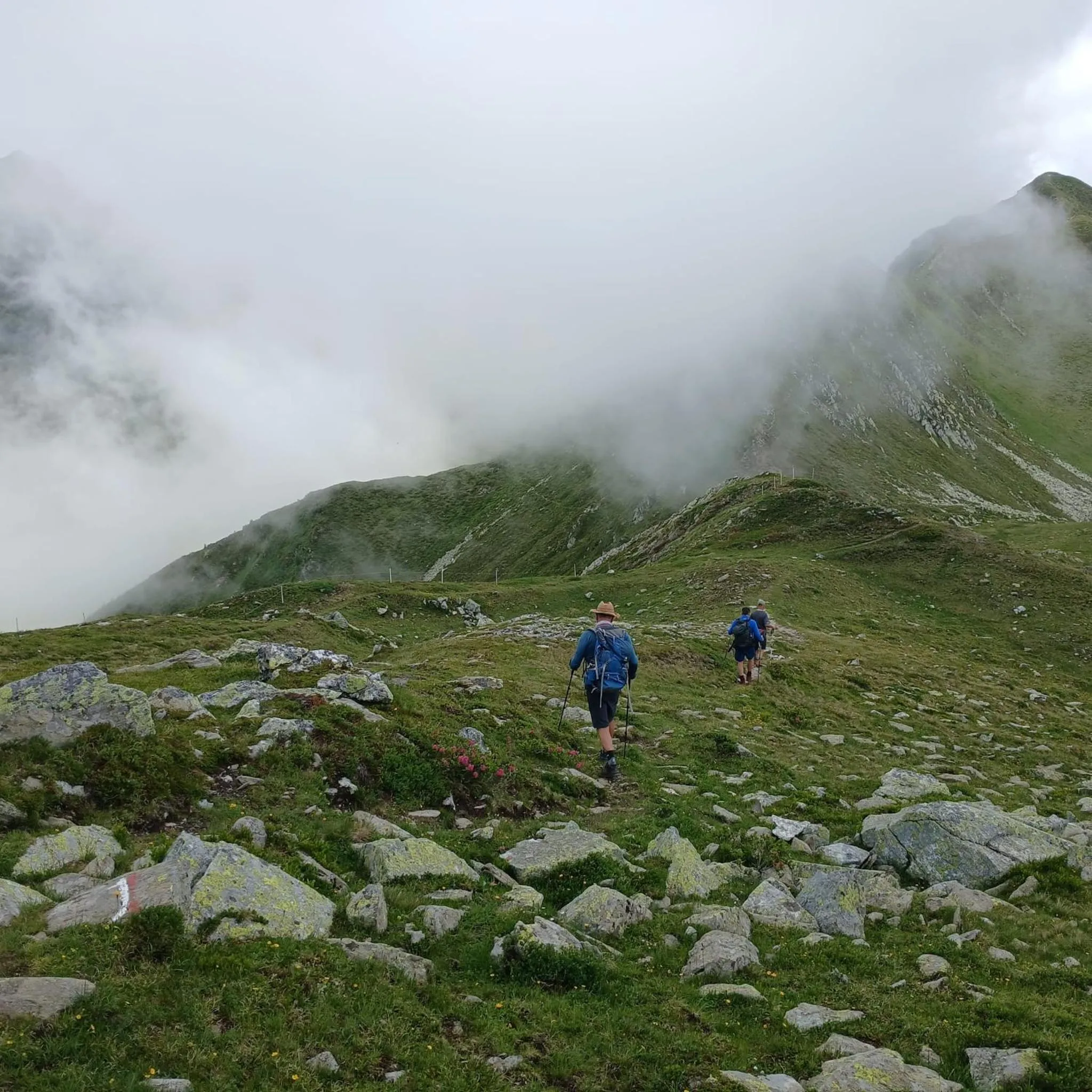 Day in Pension Wirt am Bach