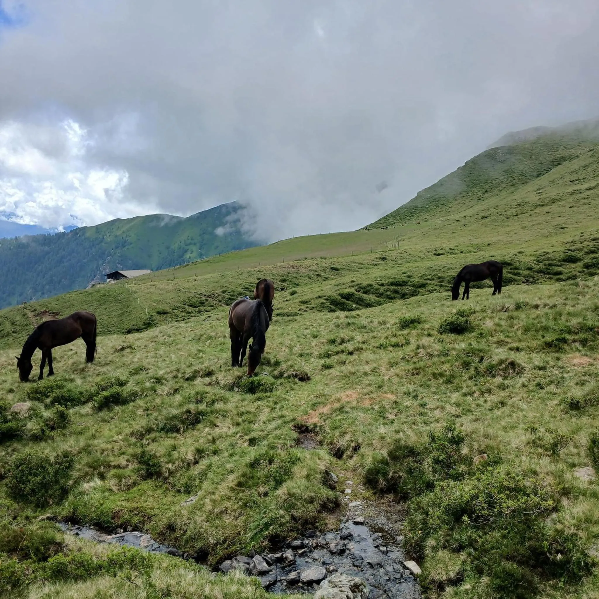 Day in Pension Wirt am Bach