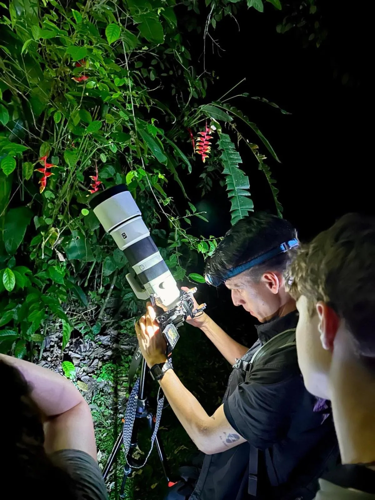 Night in Finca Luna Nueva Lodge