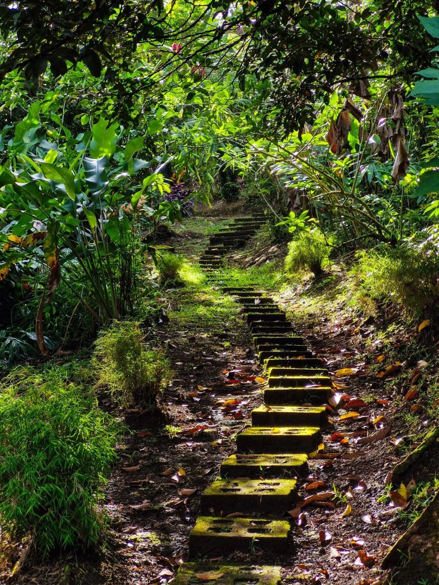 Entertainment in Finca Luna Nueva Lodge
