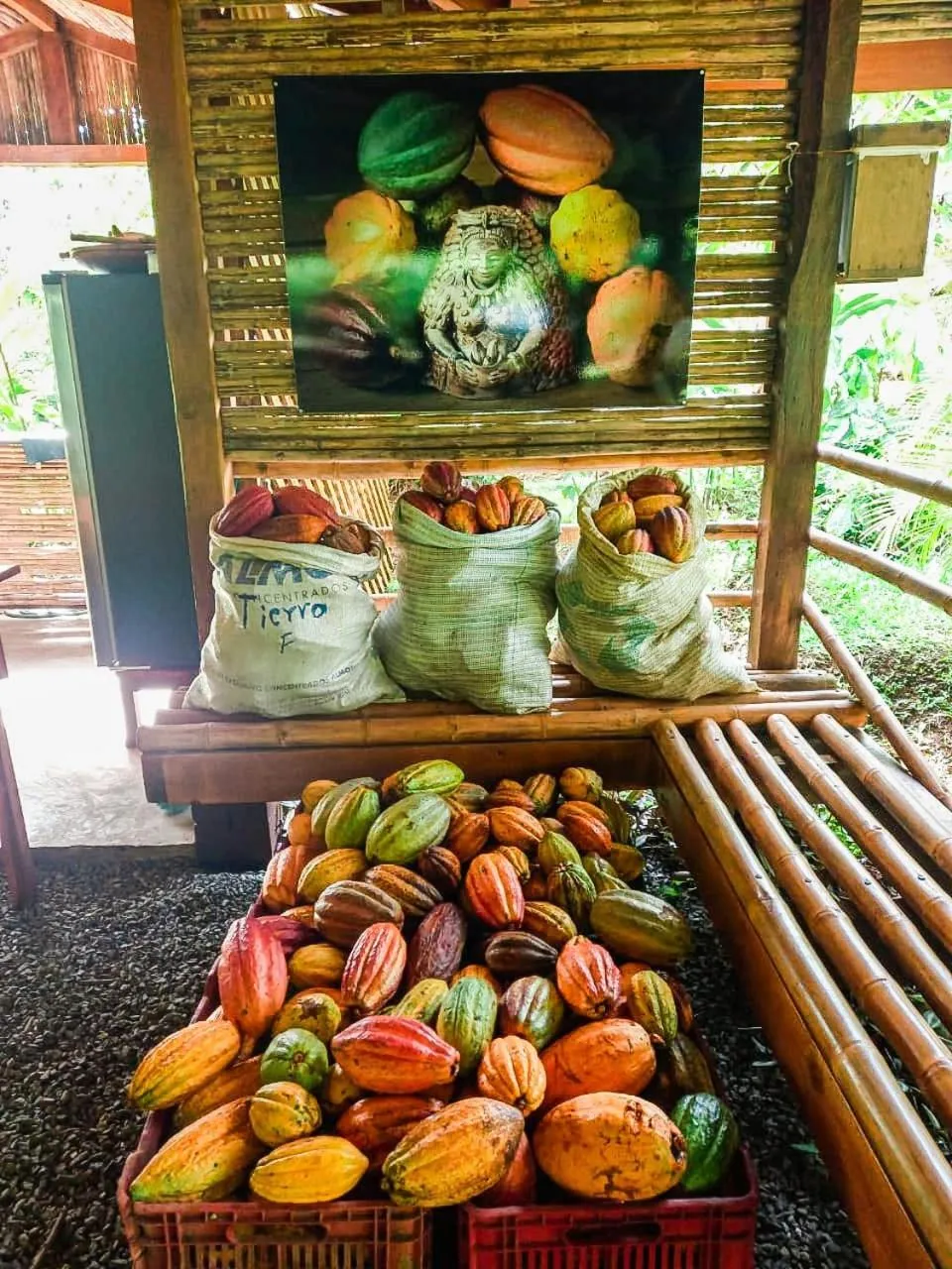 Activities in Finca Luna Nueva Lodge