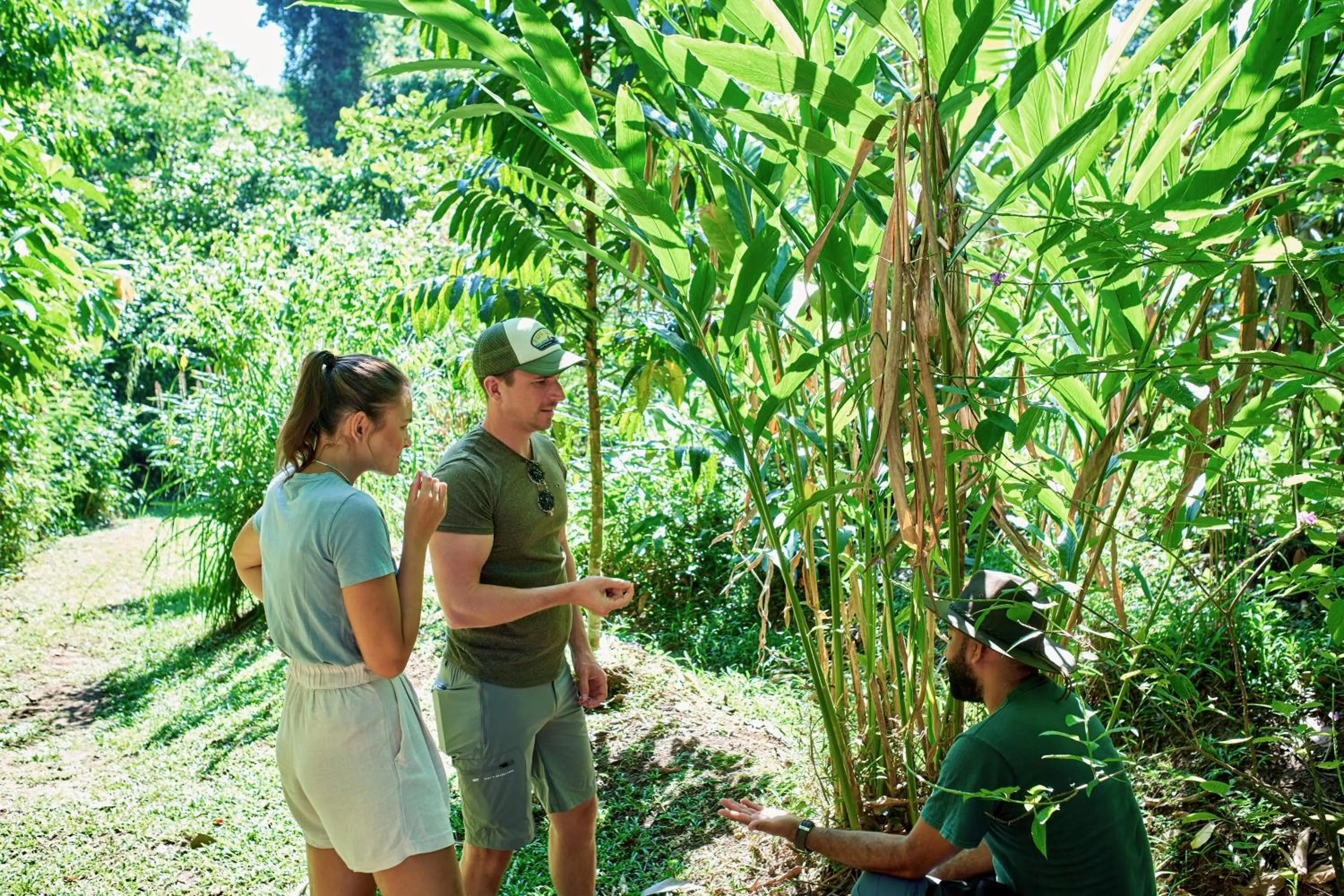 Day in Finca Luna Nueva Lodge