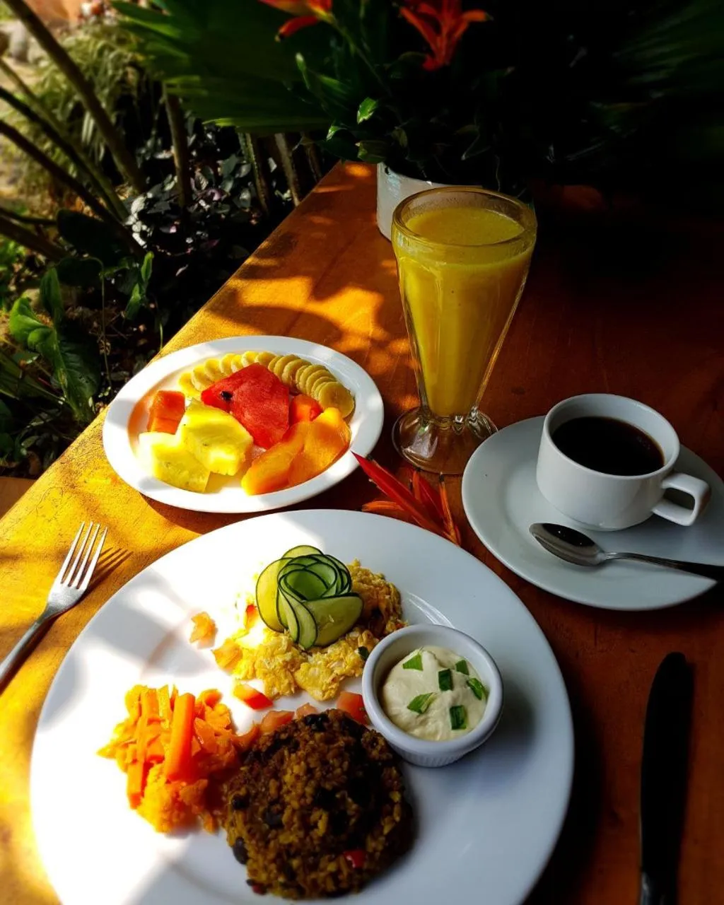 Restaurant/places to eat in Finca Luna Nueva Lodge