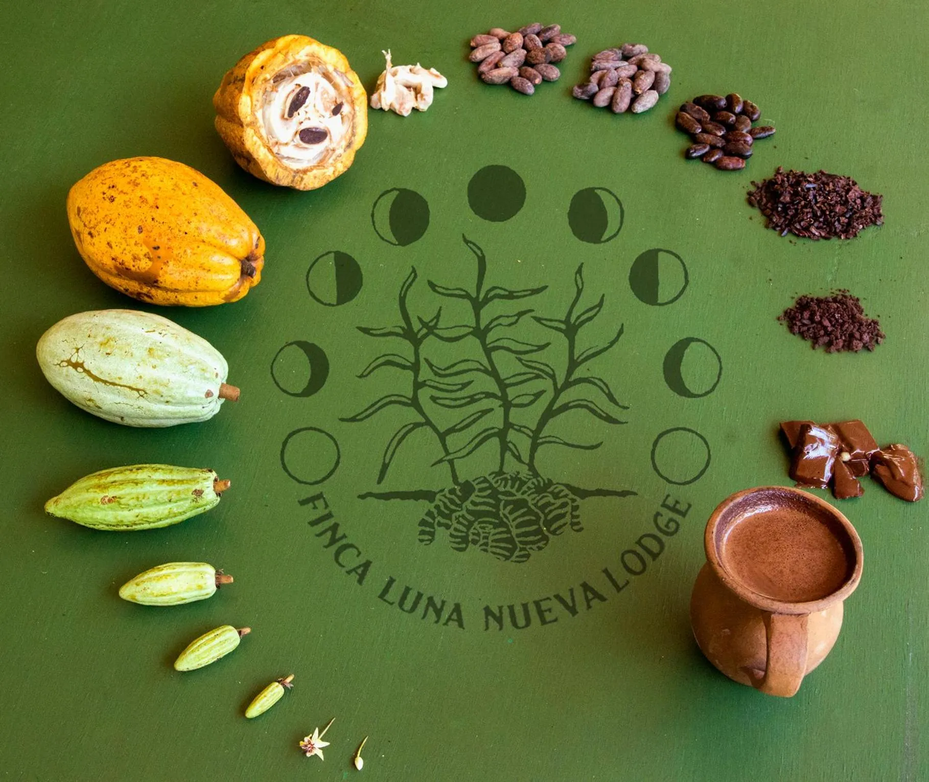 Food and drinks in Finca Luna Nueva Lodge