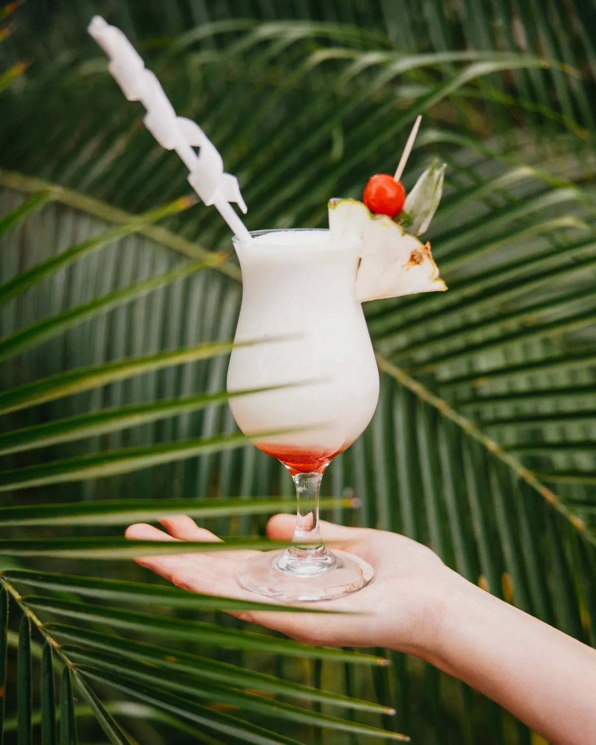 Food and drinks in Nicawaves