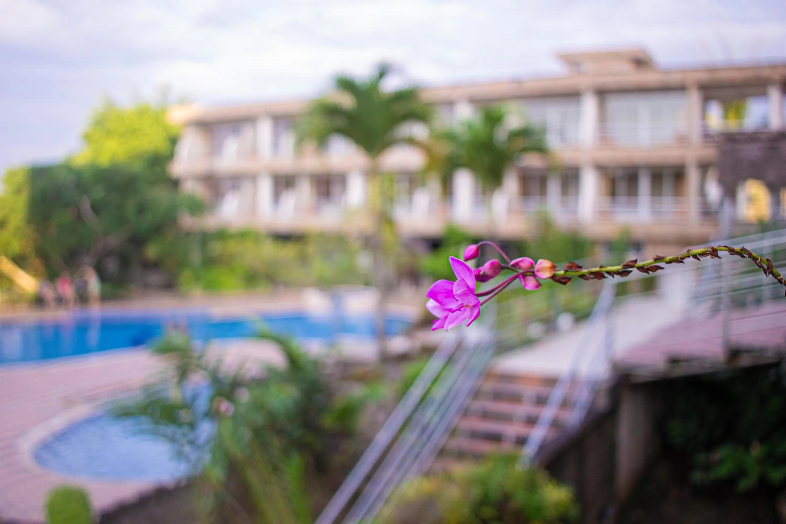 Garden in Gran Hotel De Lago - El Coca