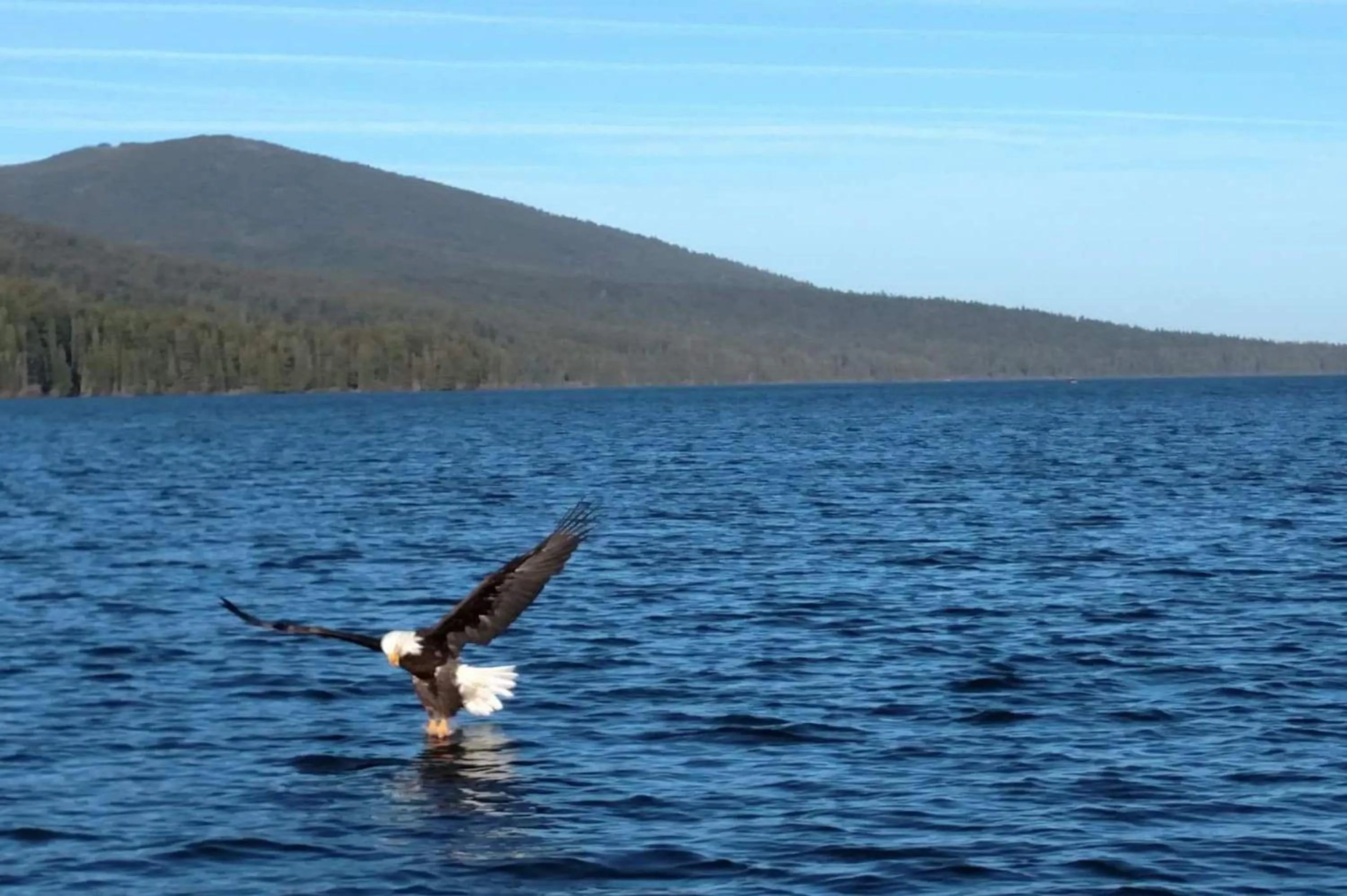 Lake view in Shelter Cove Resort & Marina