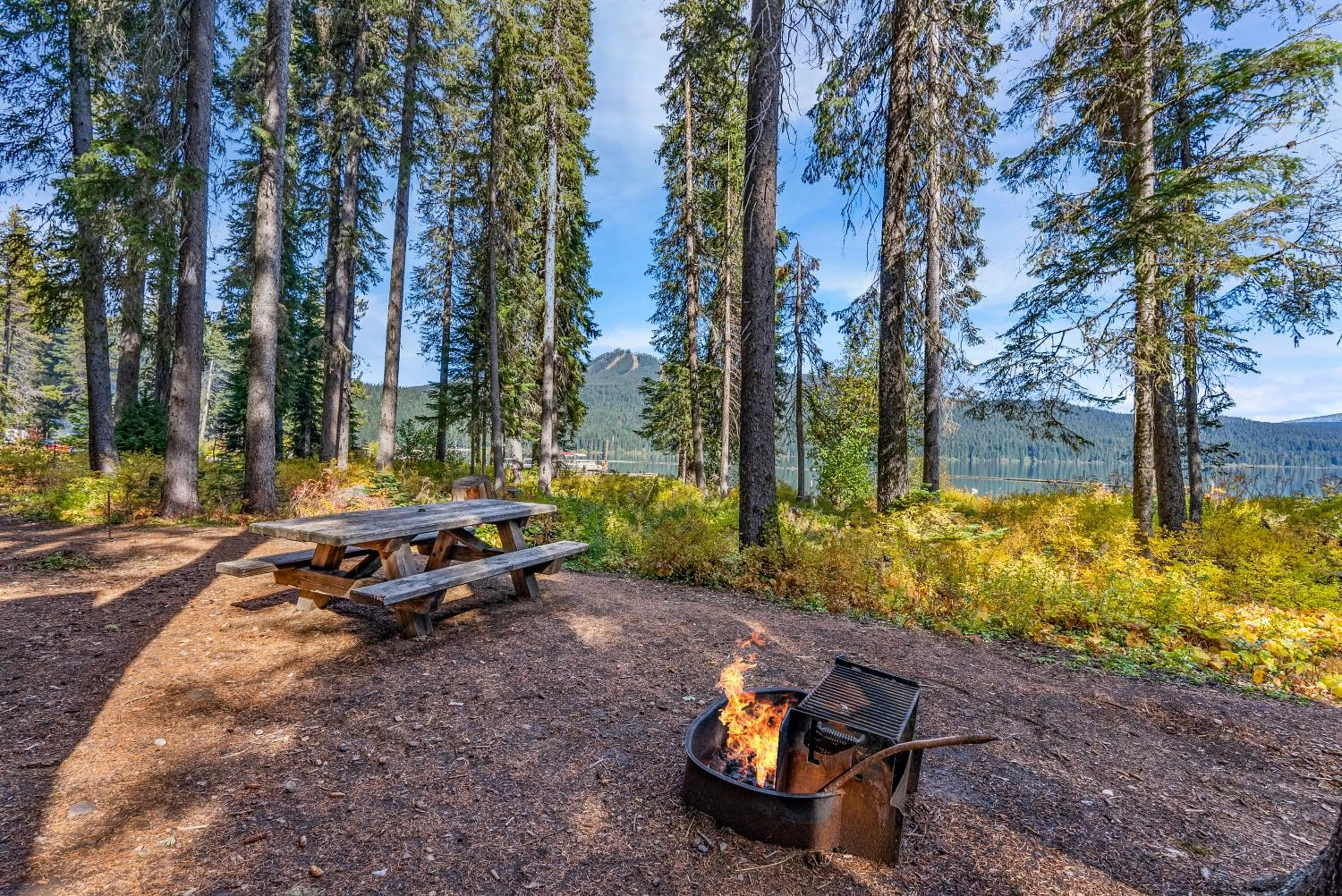 Natural landscape in Shelter Cove Resort & Marina