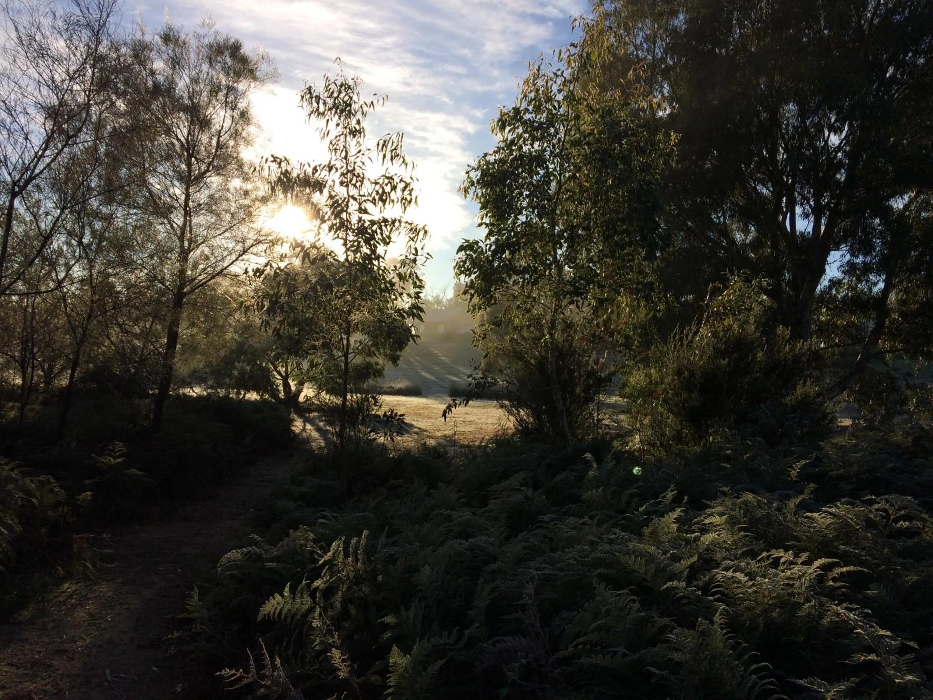 Activities in Grampians Pioneer Cottages