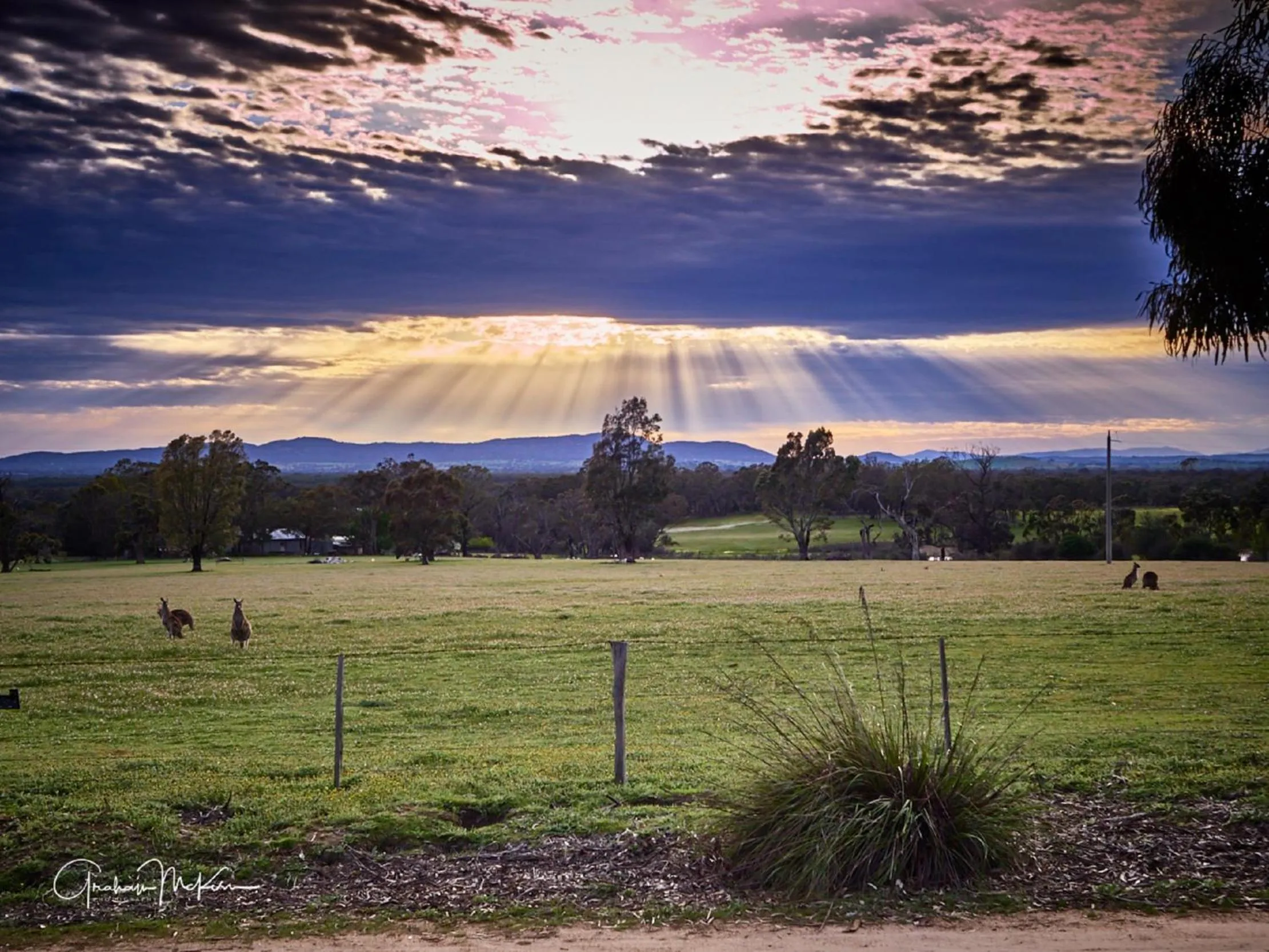Natural landscape in Grampians Pioneer Cottages