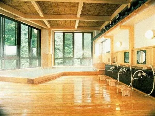 Public Bath in Shiobara Onsen Yama no Yado Shimofujiya