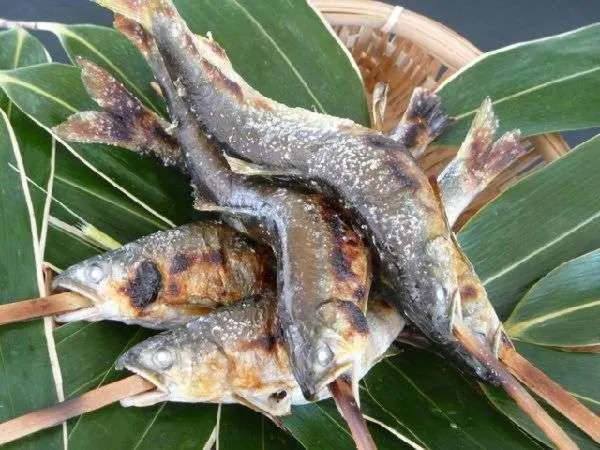 Food close-up in Shiobara Onsen Yama no Yado Shimofujiya