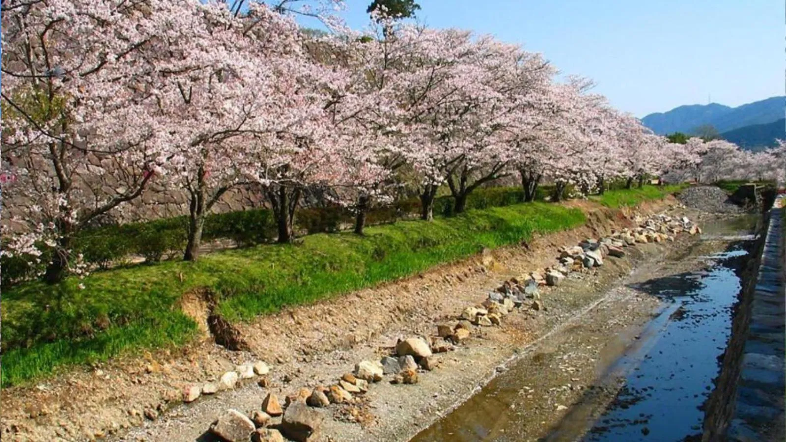 Nearby landmark in NIPPONIA Sasayama Castle Town Hotel