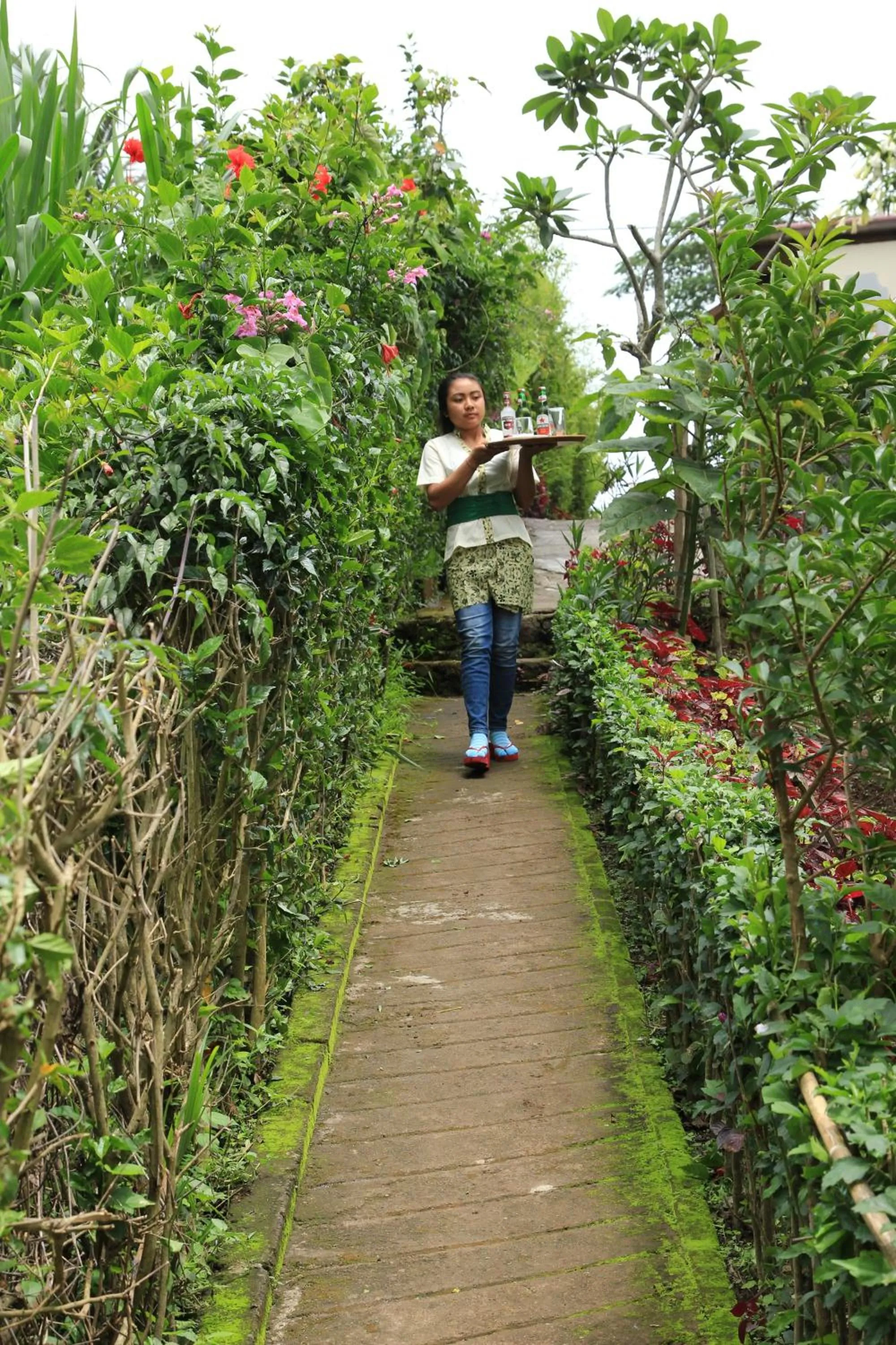 Food and drinks in Terrasse du Lac Munduk