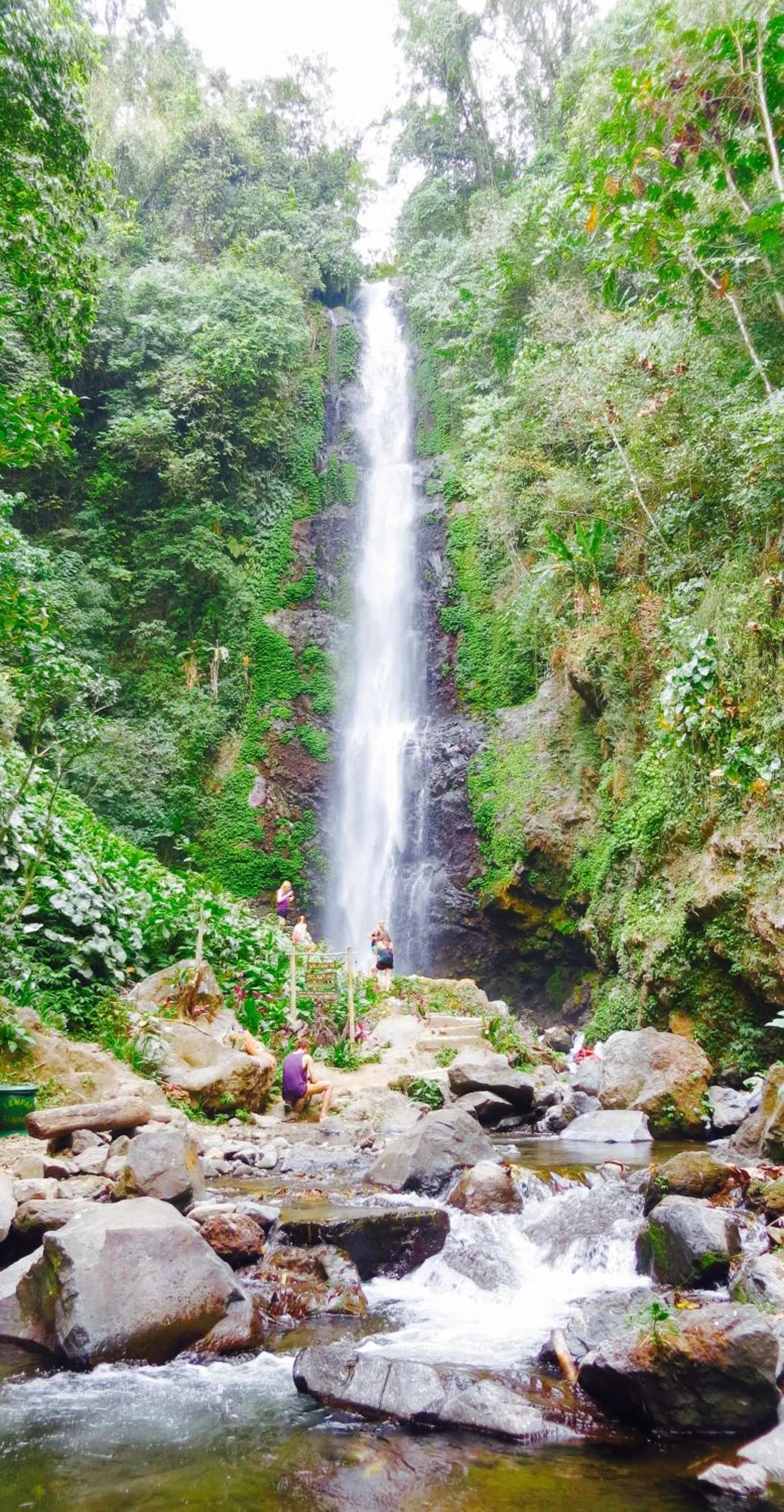 Hiking in Terrasse du Lac Munduk
