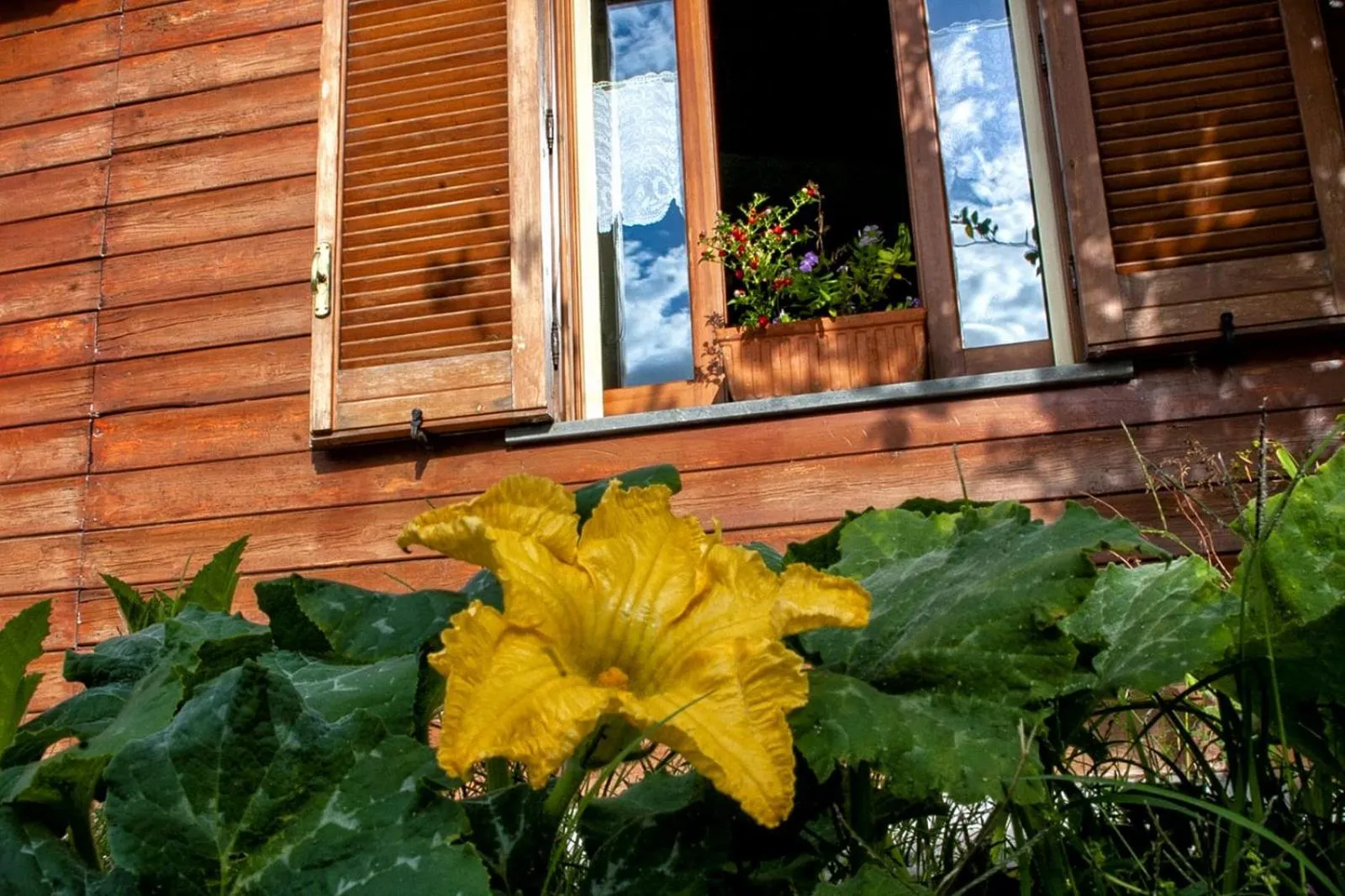 Garden view in 'O Chalet