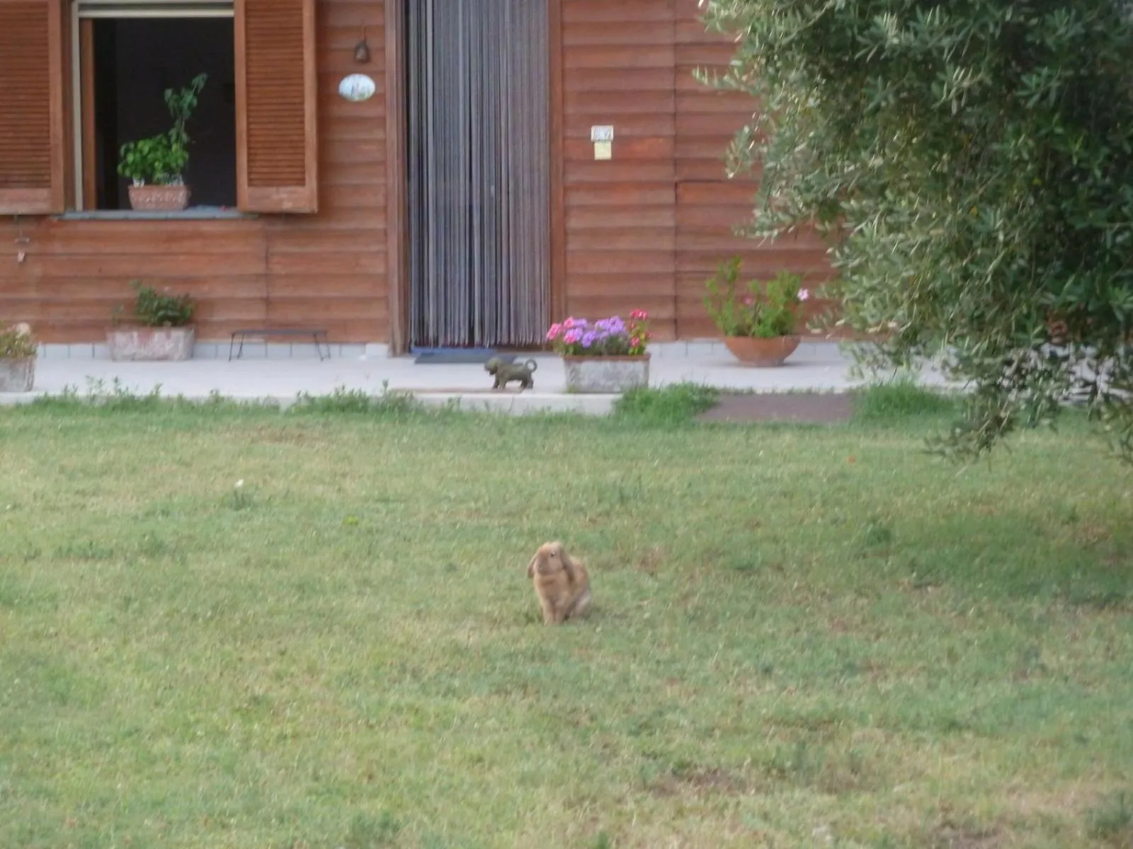 Garden view in 'O Chalet