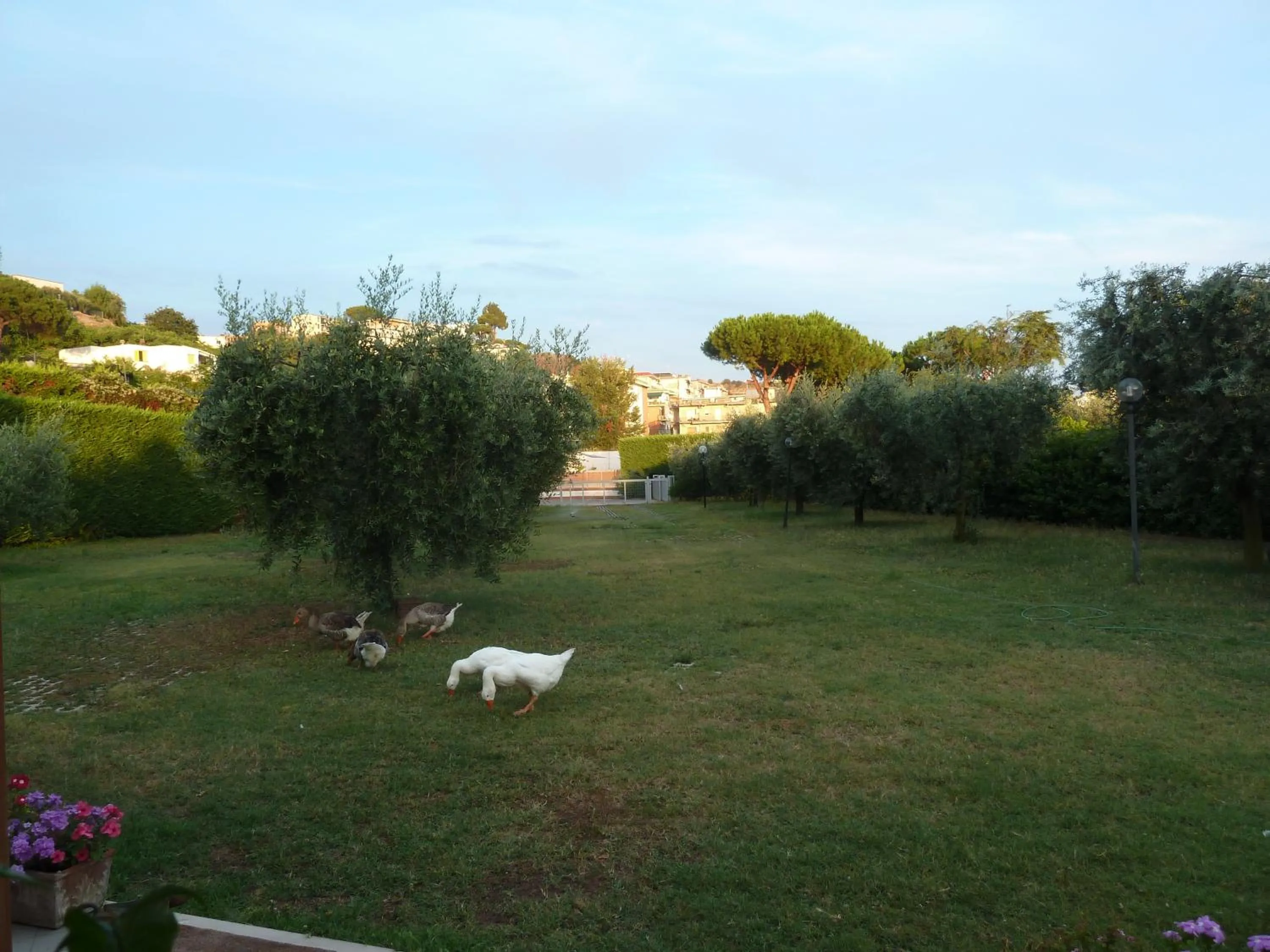 Garden view in 'O Chalet