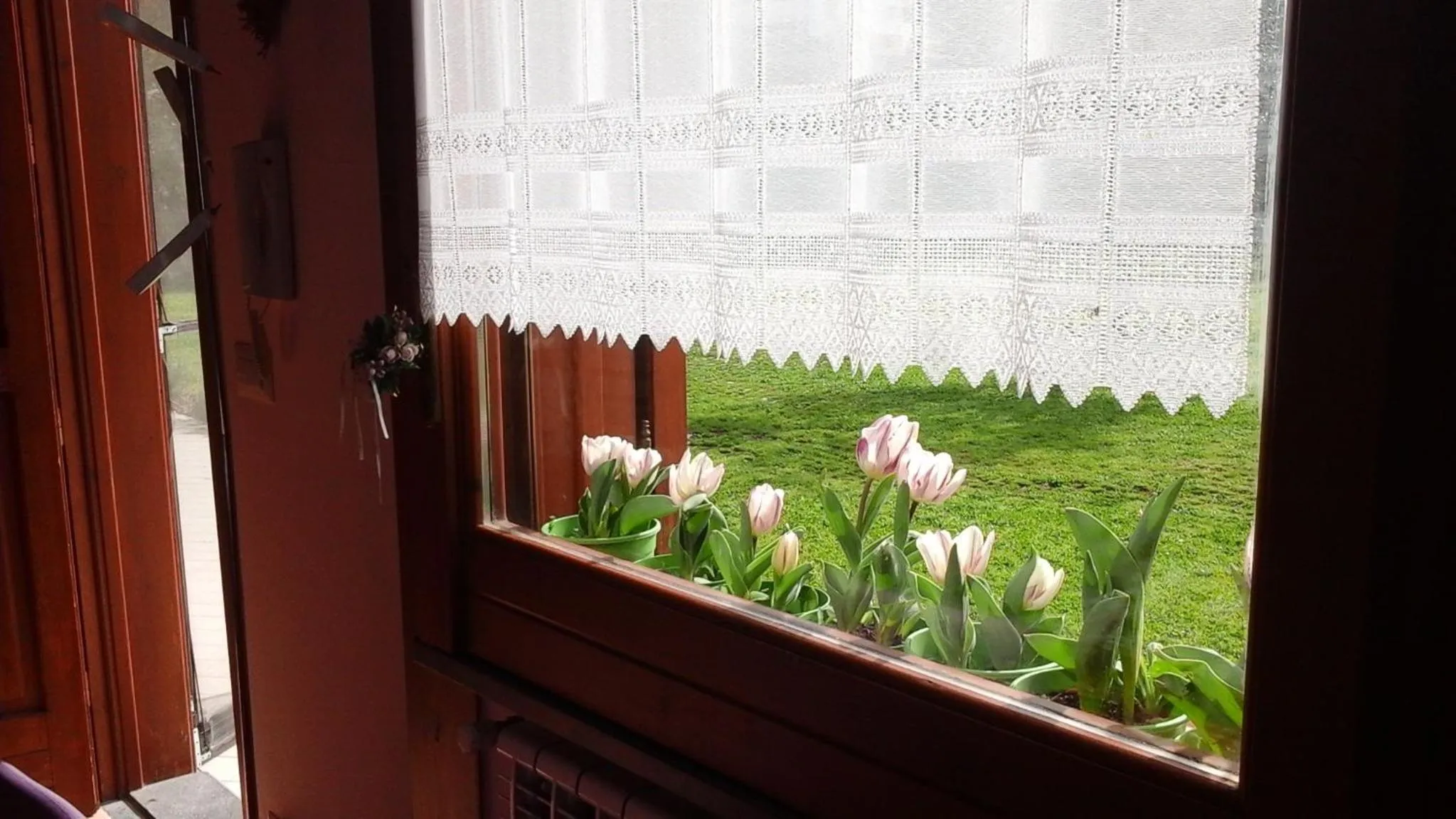 Garden view in 'O Chalet