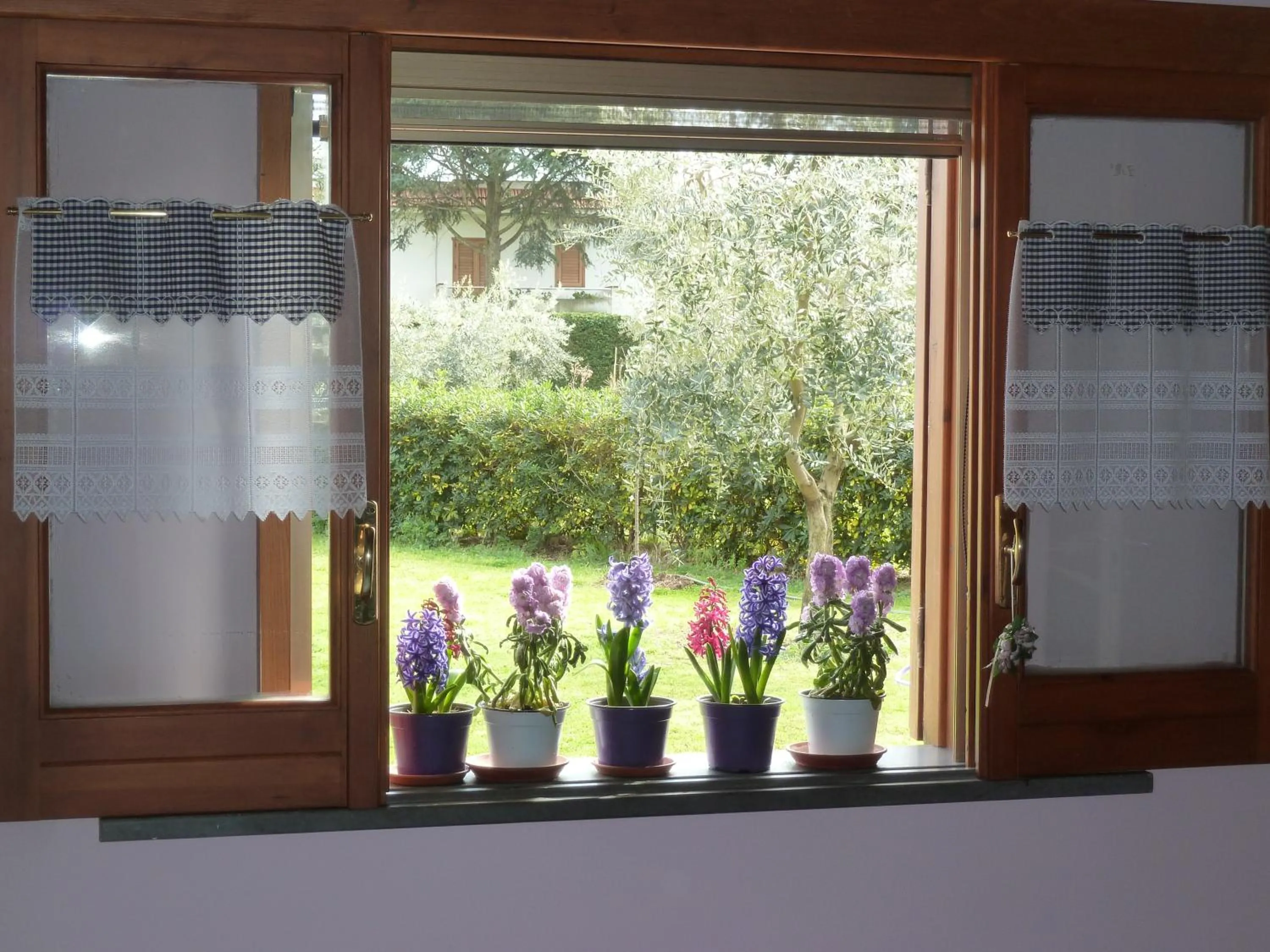 Garden view in 'O Chalet