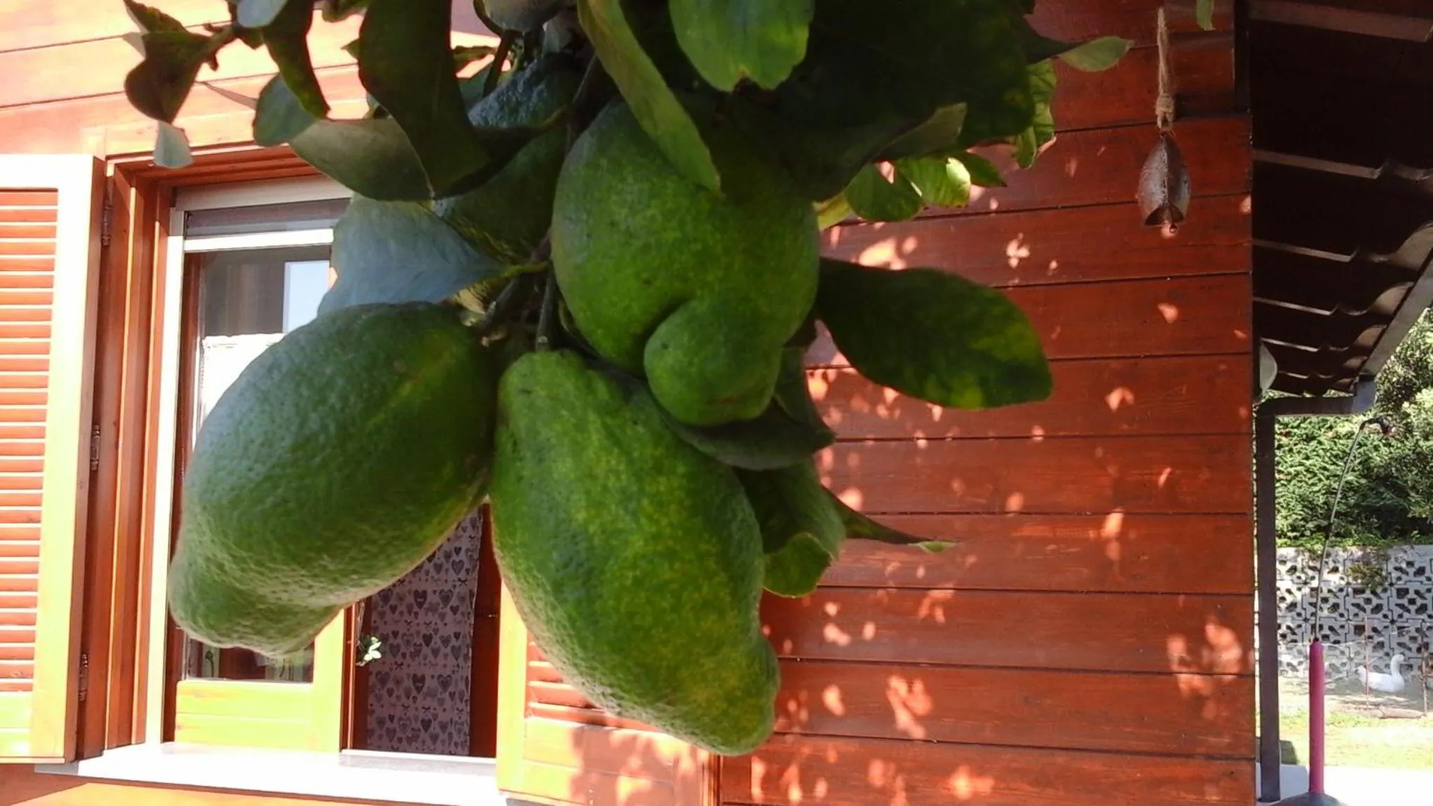 Garden view in 'O Chalet