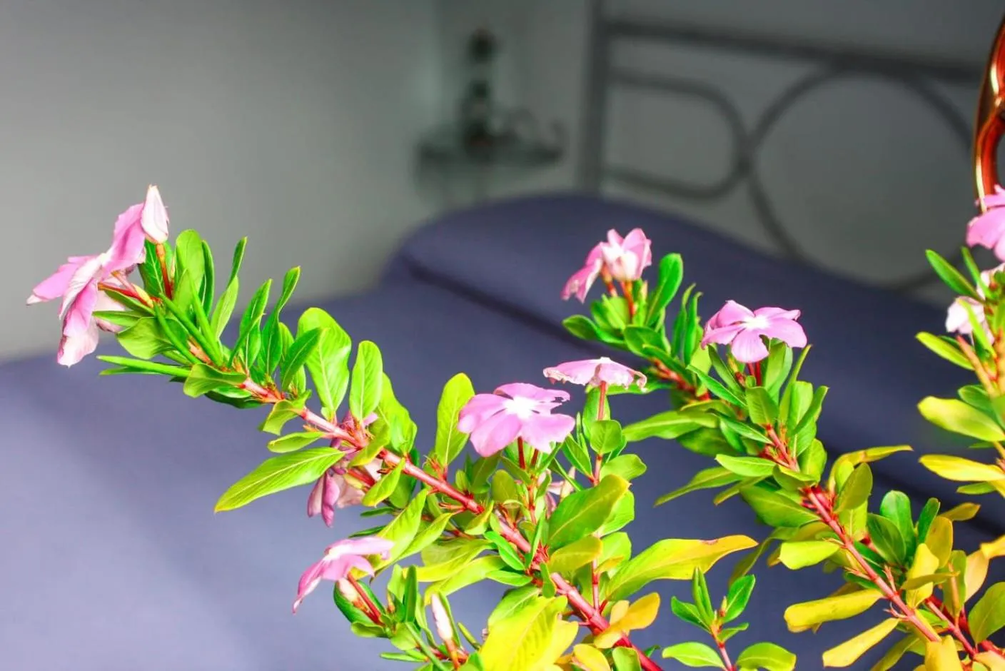 Bedroom, Bed in 'O Chalet