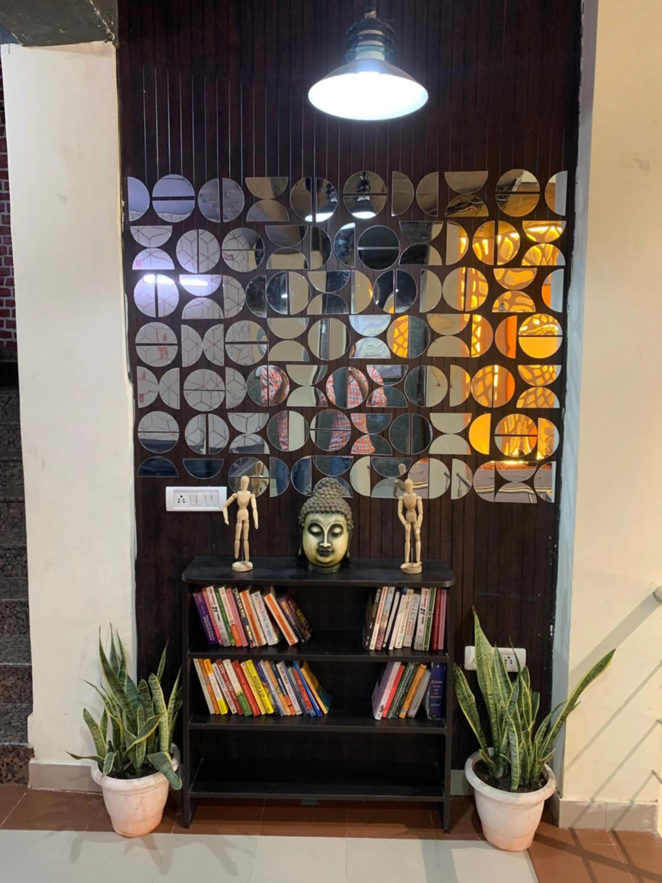 Property building in Backpacker's Nest