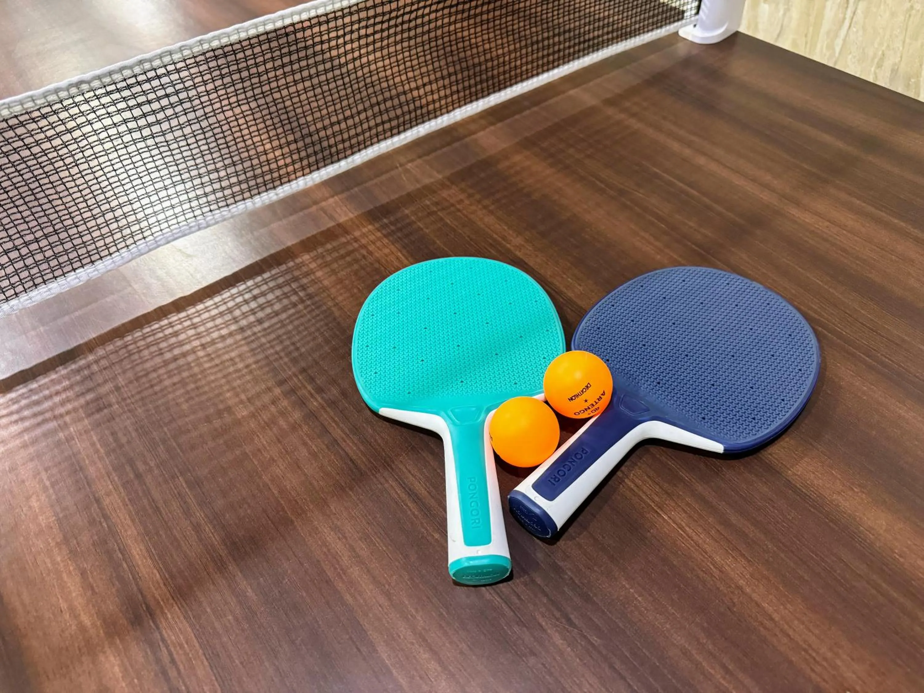 Game Room in Backpacker's Nest