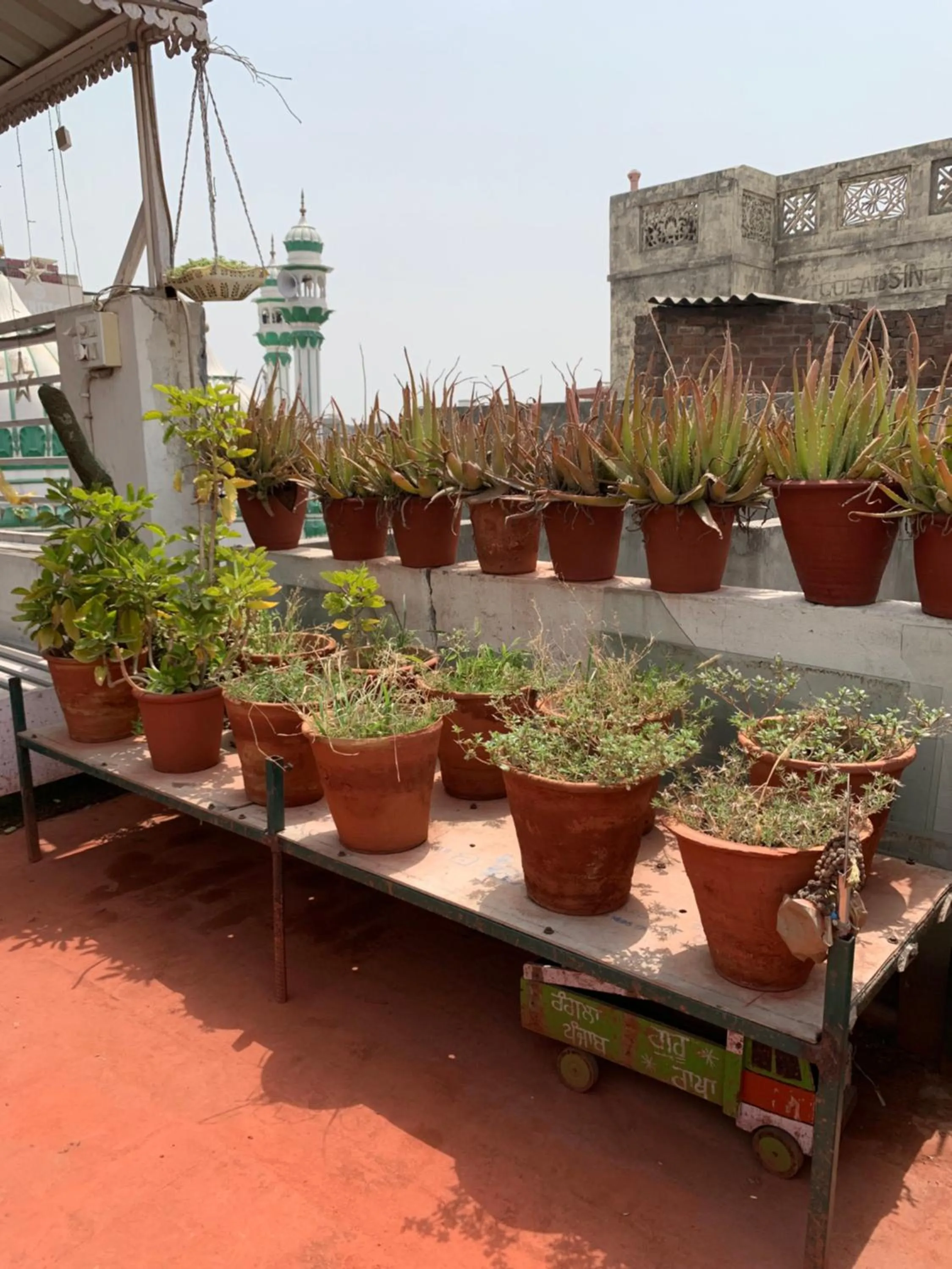 Property building in Backpacker's Nest