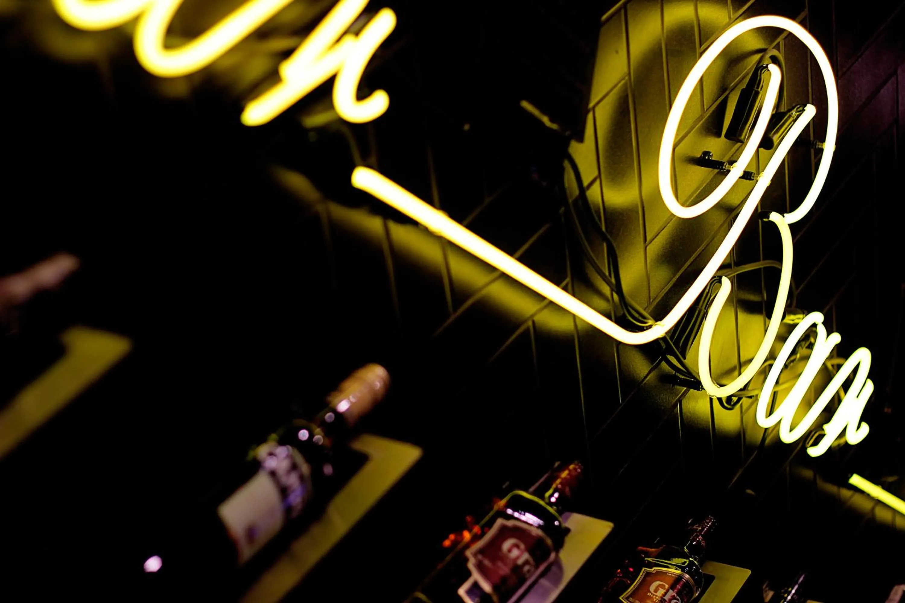 Evening entertainment in Hotel Nihil Novi