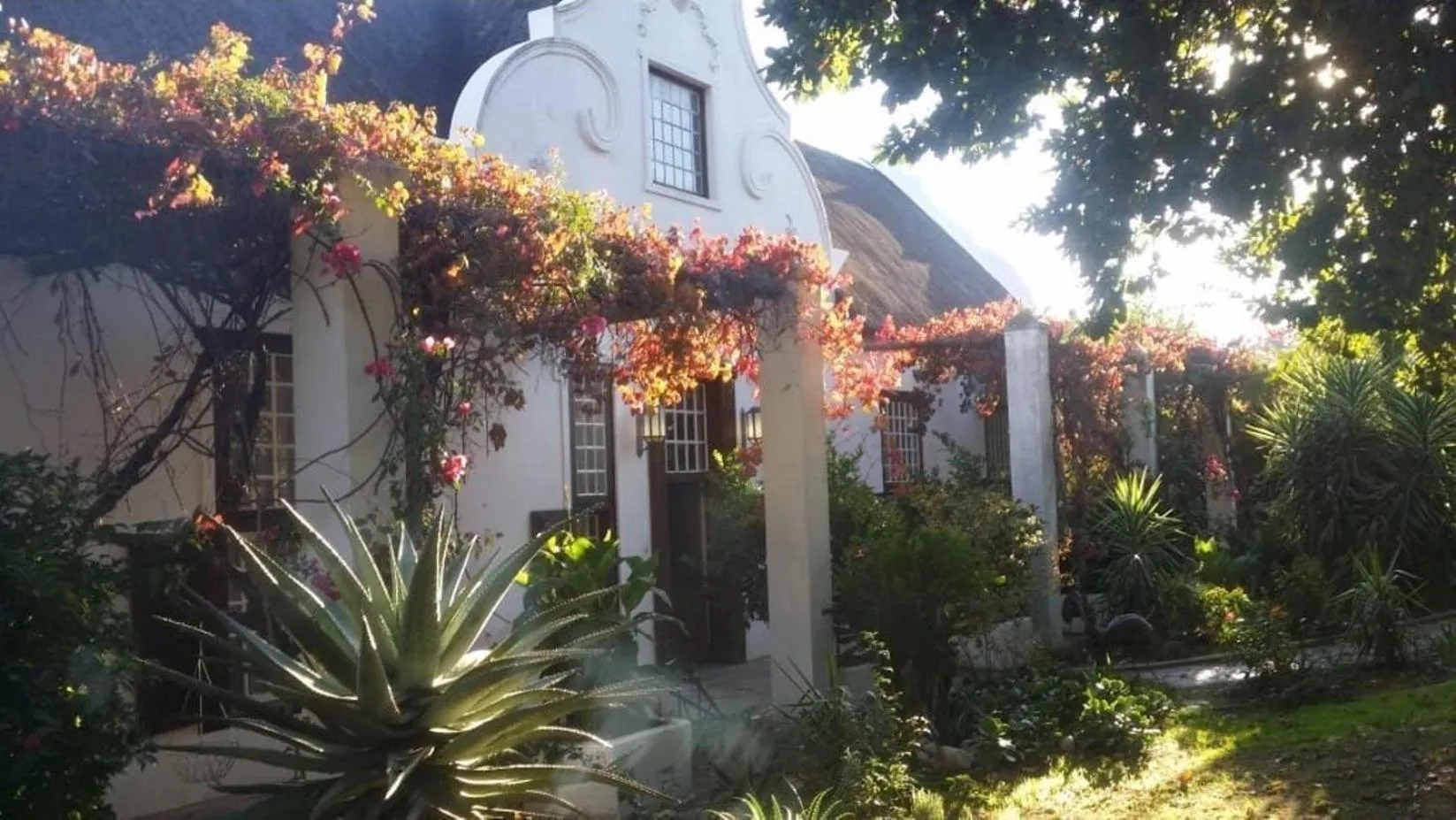 Property building in Wittedrift Manor House